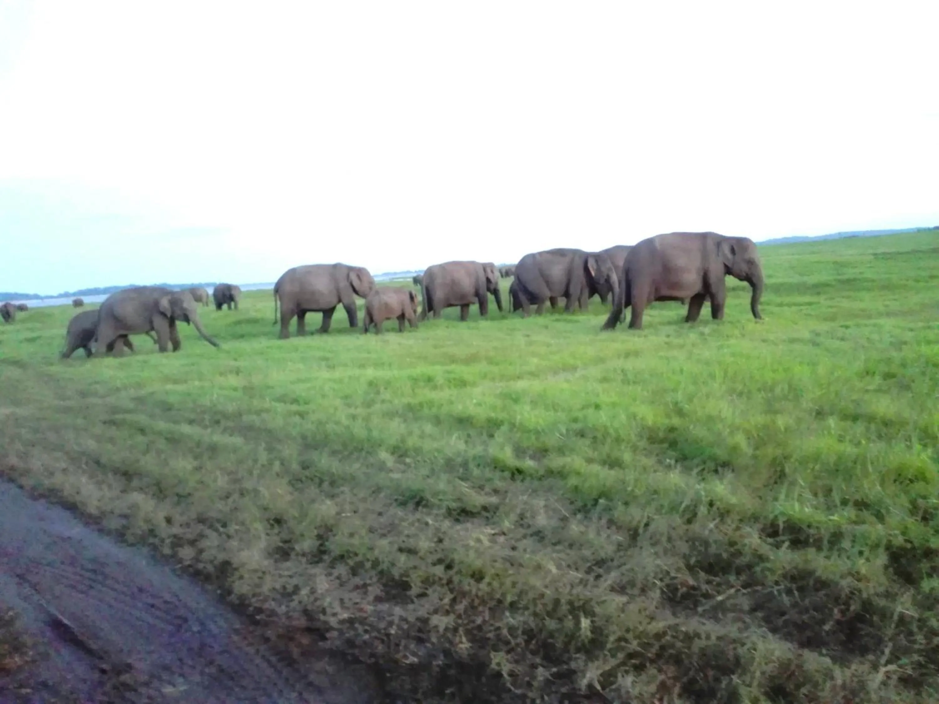 Area and facilities in Takeshi Inn