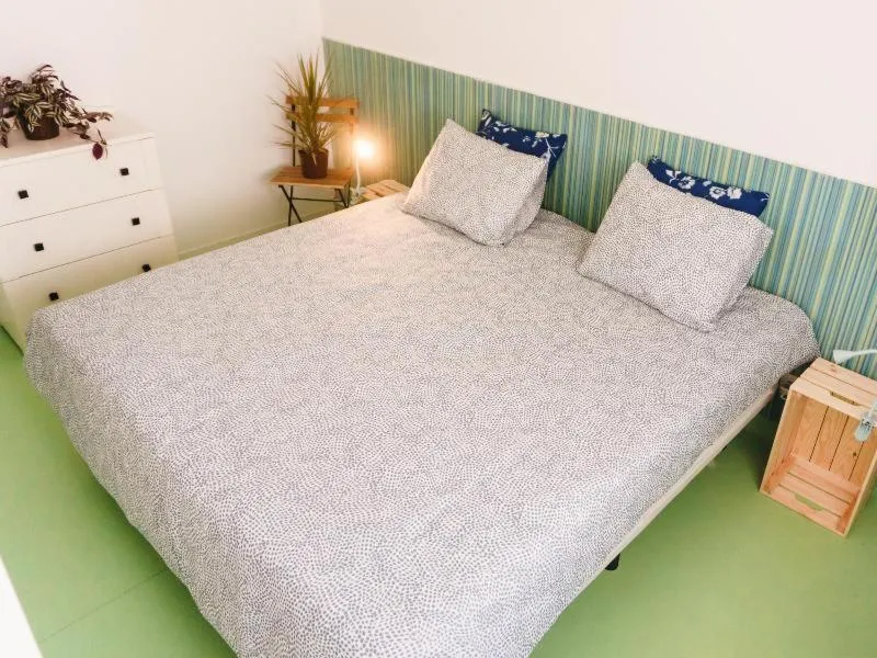 Hospedium Hostel República Surf House