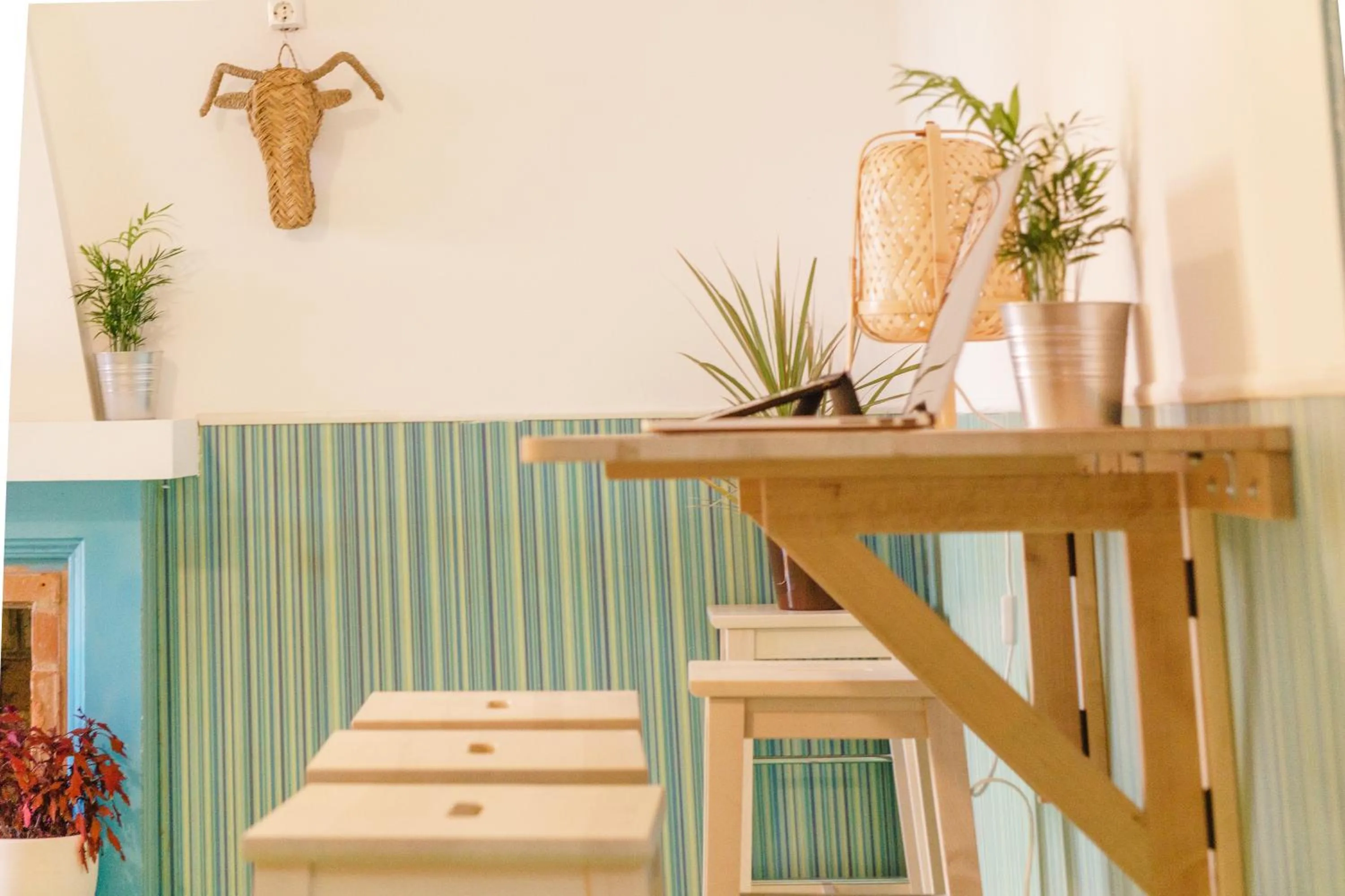 Living room in Hospedium Hostel República Surf House