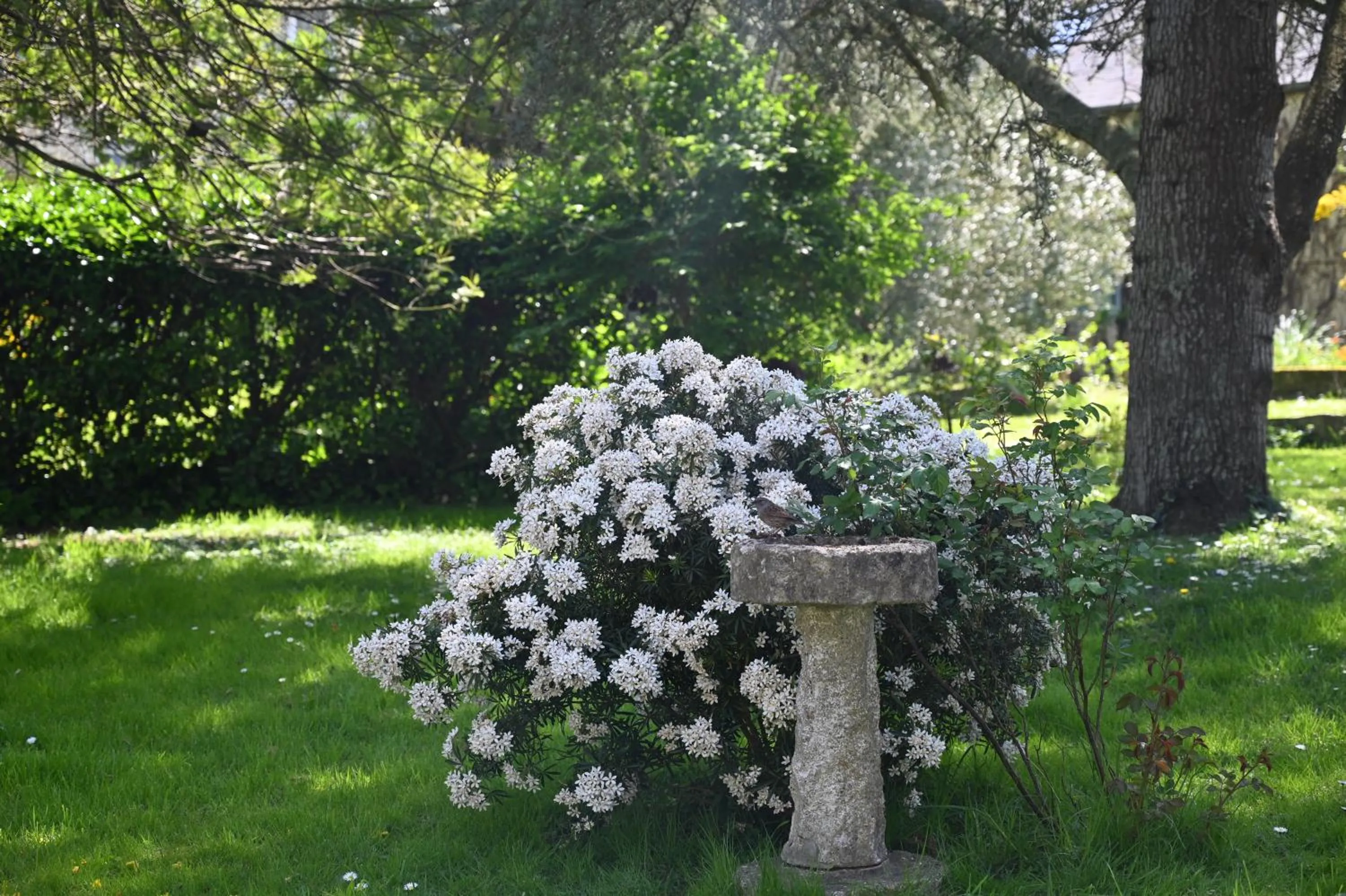 Garden in Logis Hôtel La Demeure du Perron