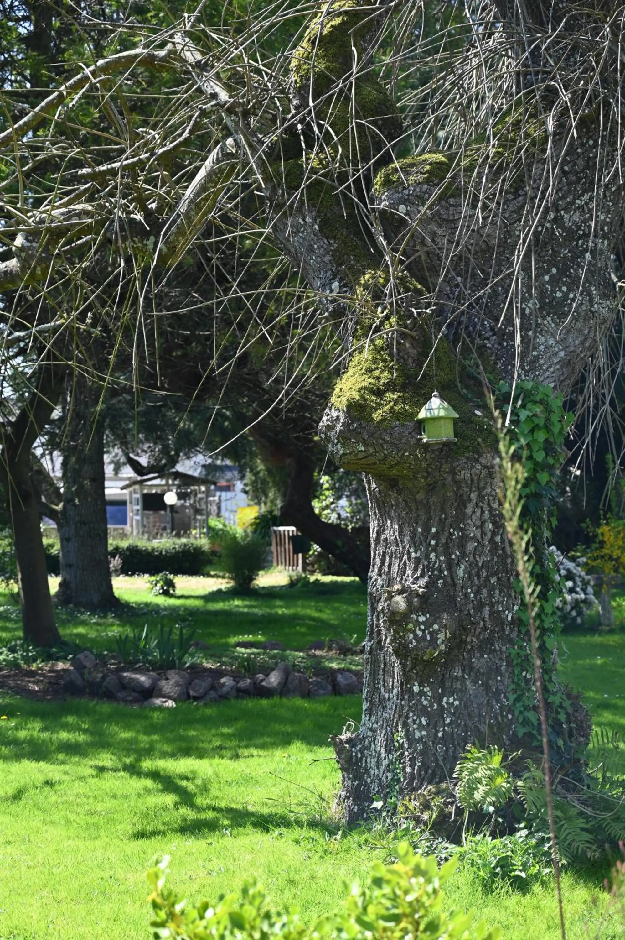 Garden in Logis Hôtel La Demeure du Perron