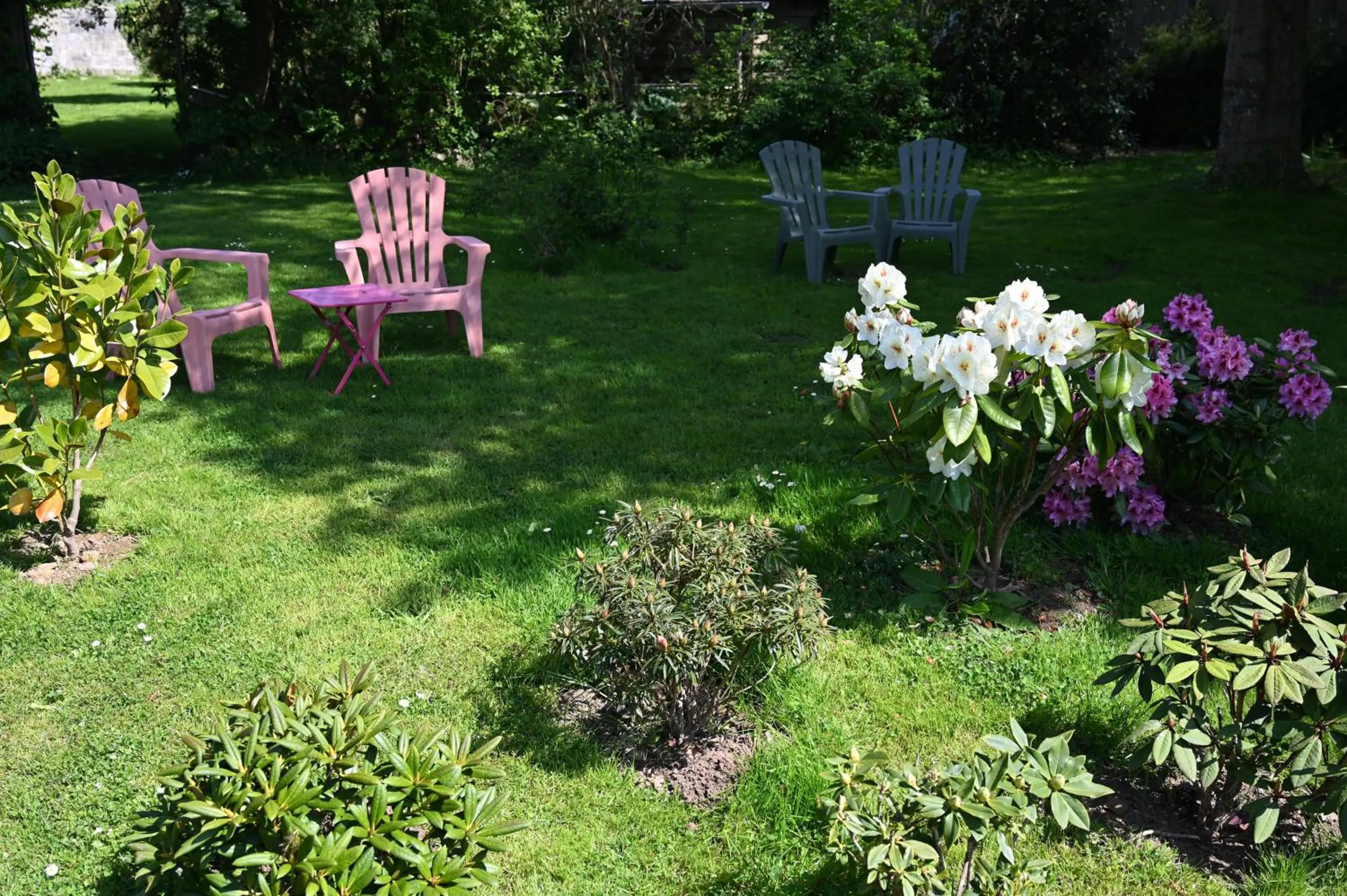 Garden in Logis Hôtel La Demeure du Perron