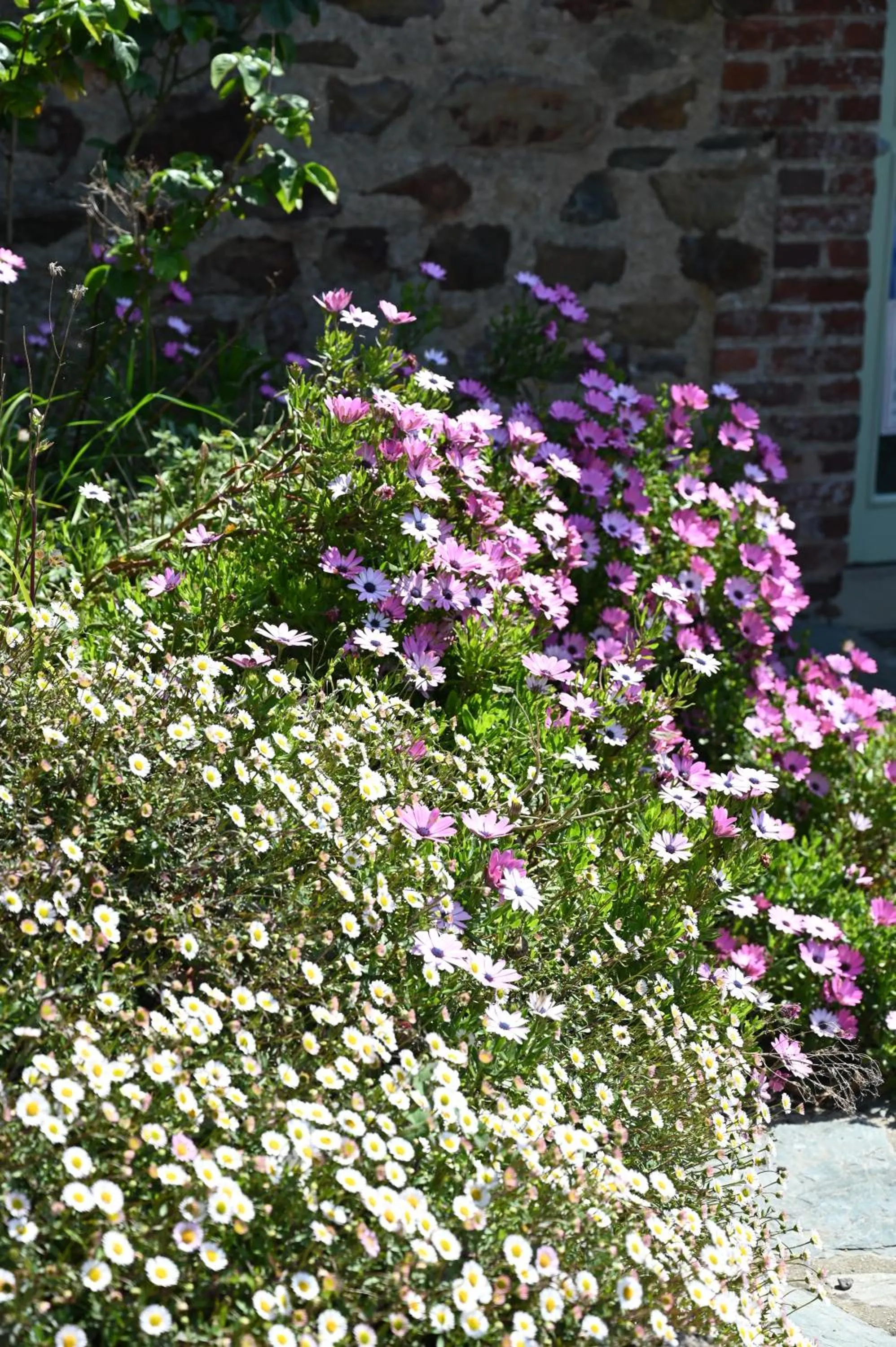 Garden in Logis Hôtel La Demeure du Perron