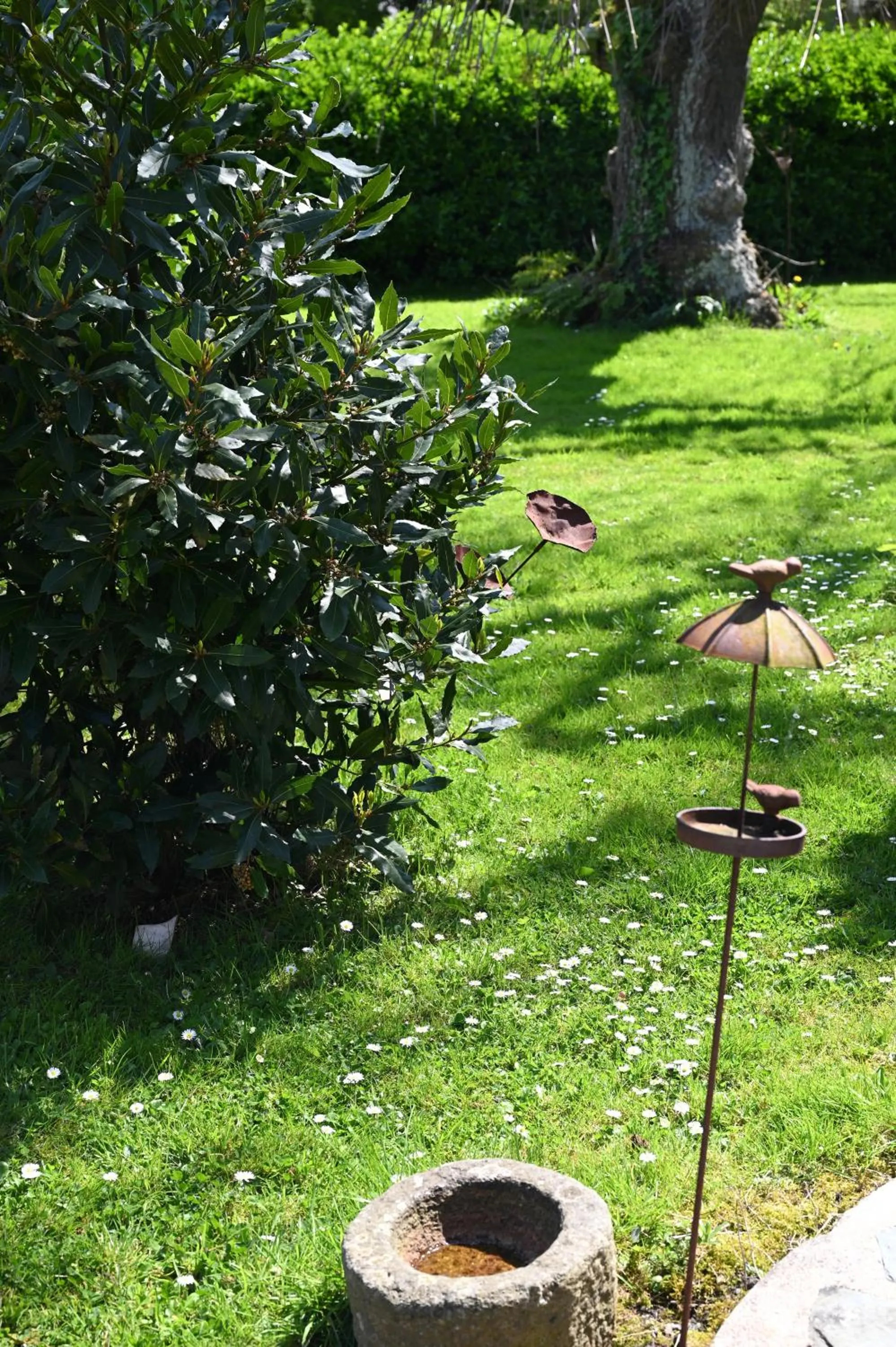 Garden in Logis Hôtel La Demeure du Perron