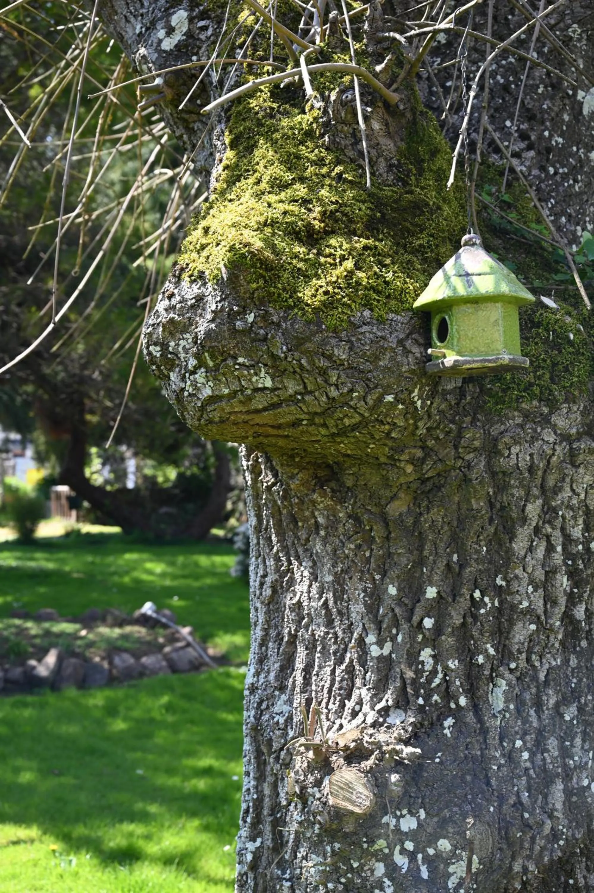 Garden in Logis Hôtel La Demeure du Perron