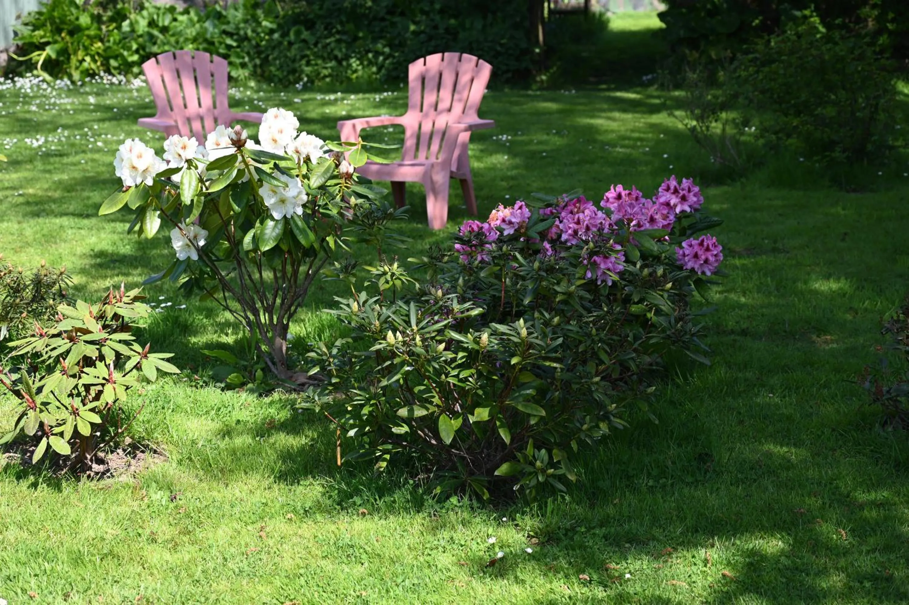 Garden in Logis Hôtel La Demeure du Perron