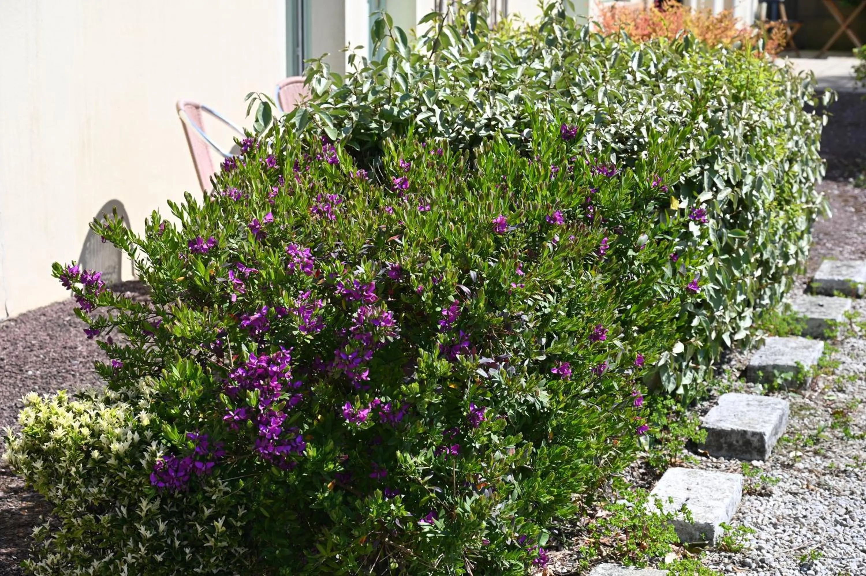 Garden in Logis Hôtel La Demeure du Perron
