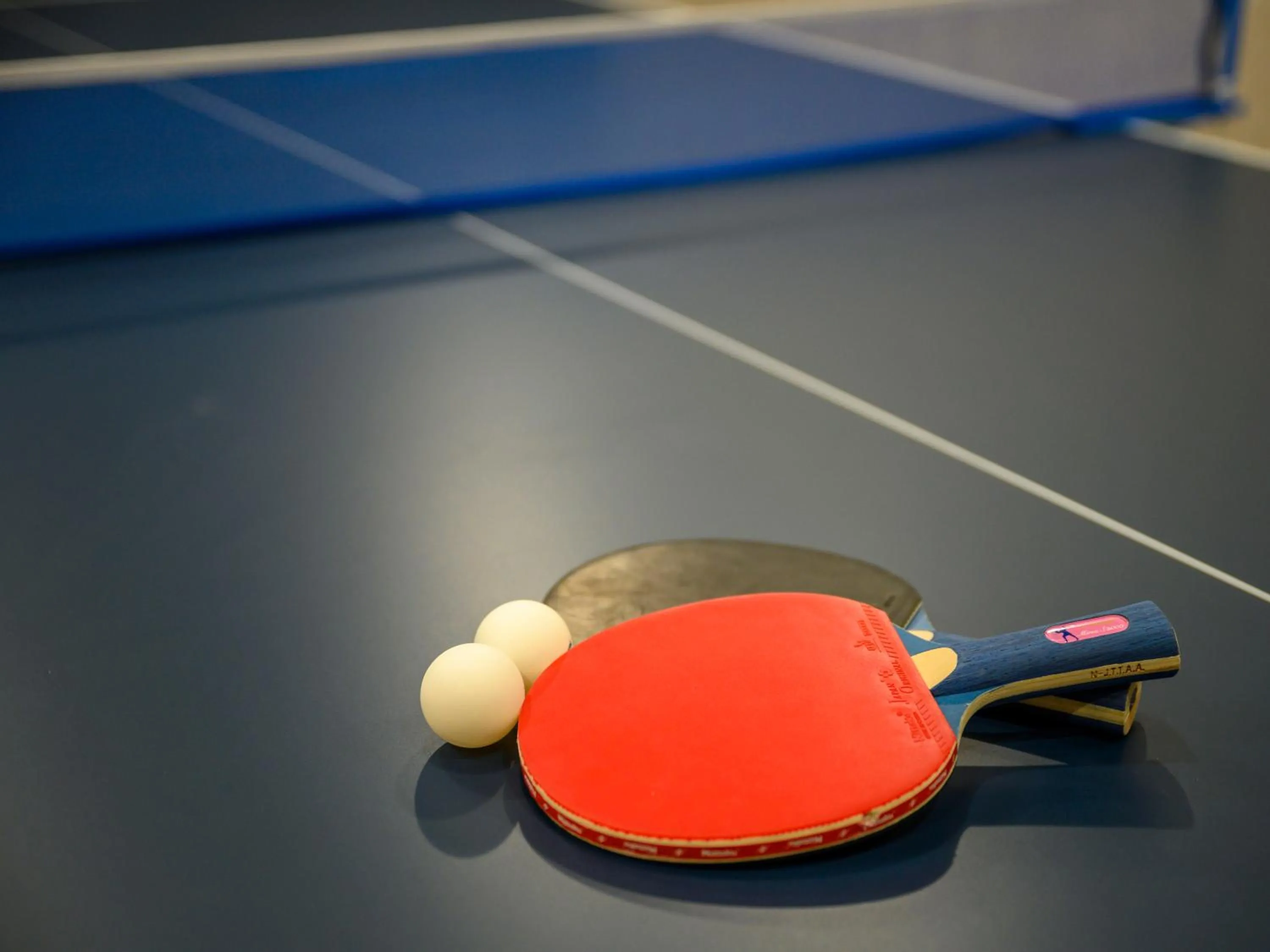 Table tennis in KAMENOI HOTEL Nachi Katsuura