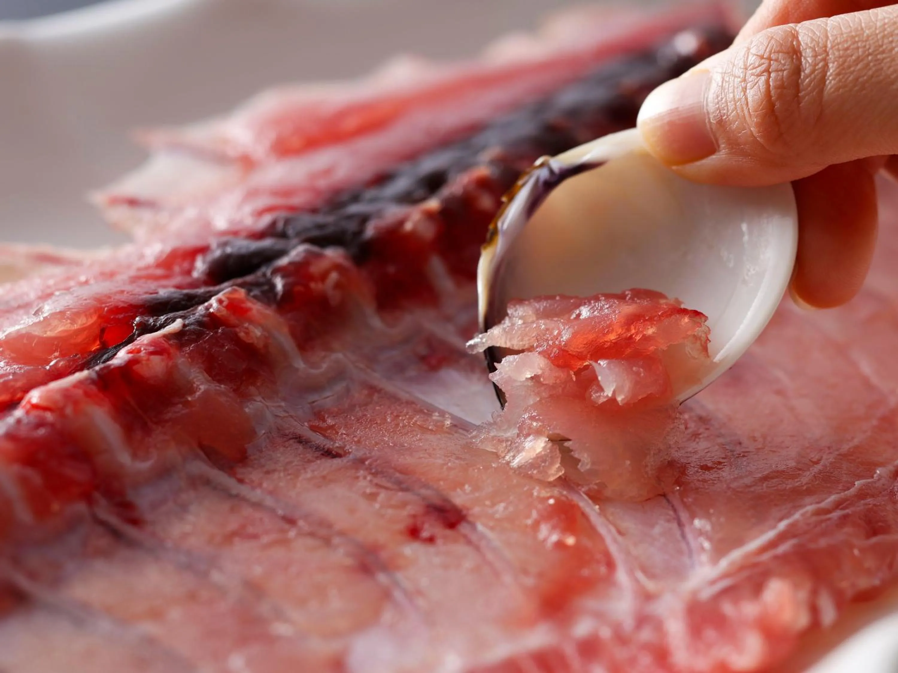Food close-up in KAMENOI HOTEL Nachi Katsuura