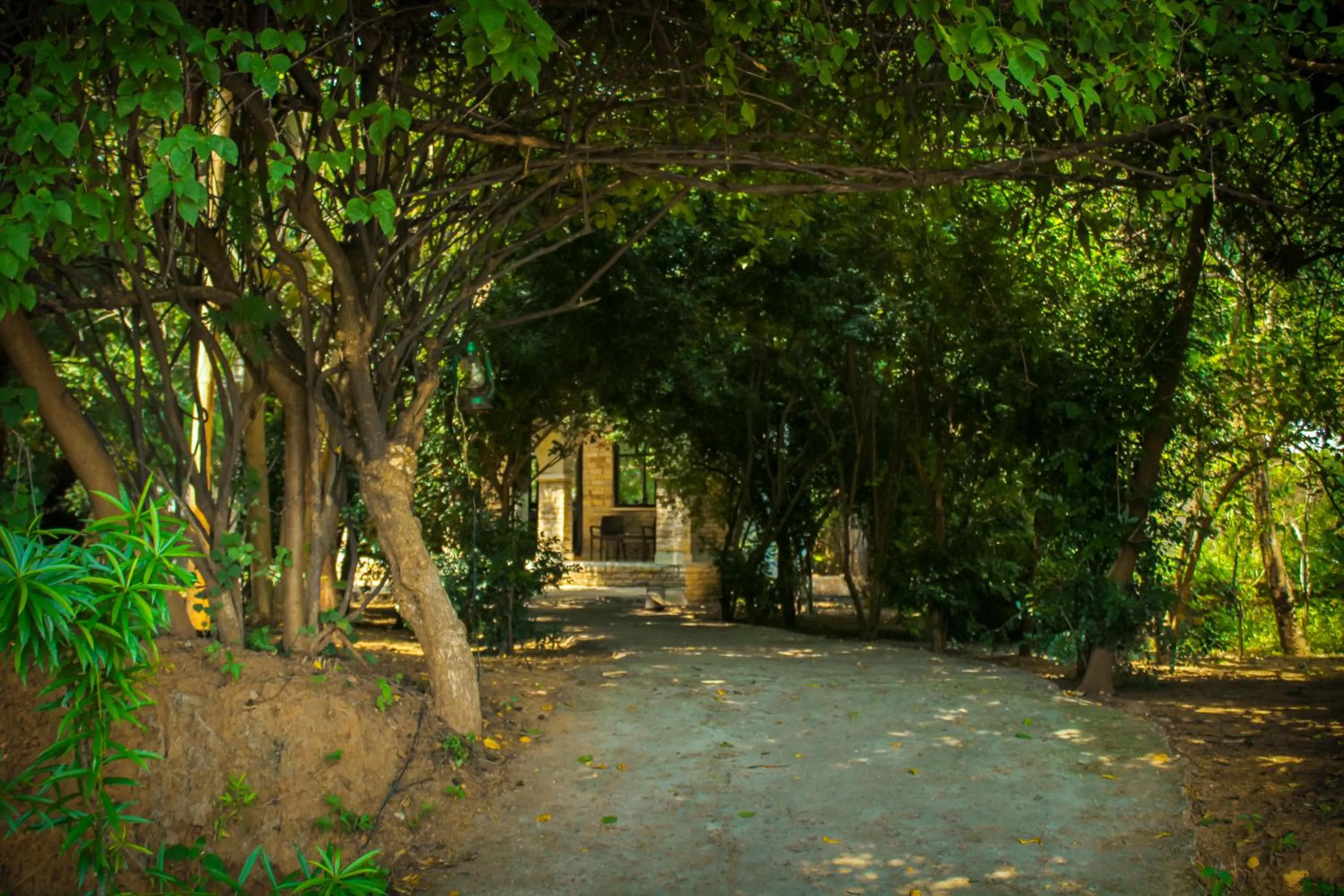 Natural landscape in Panna Tiger Resort- Riverside Property