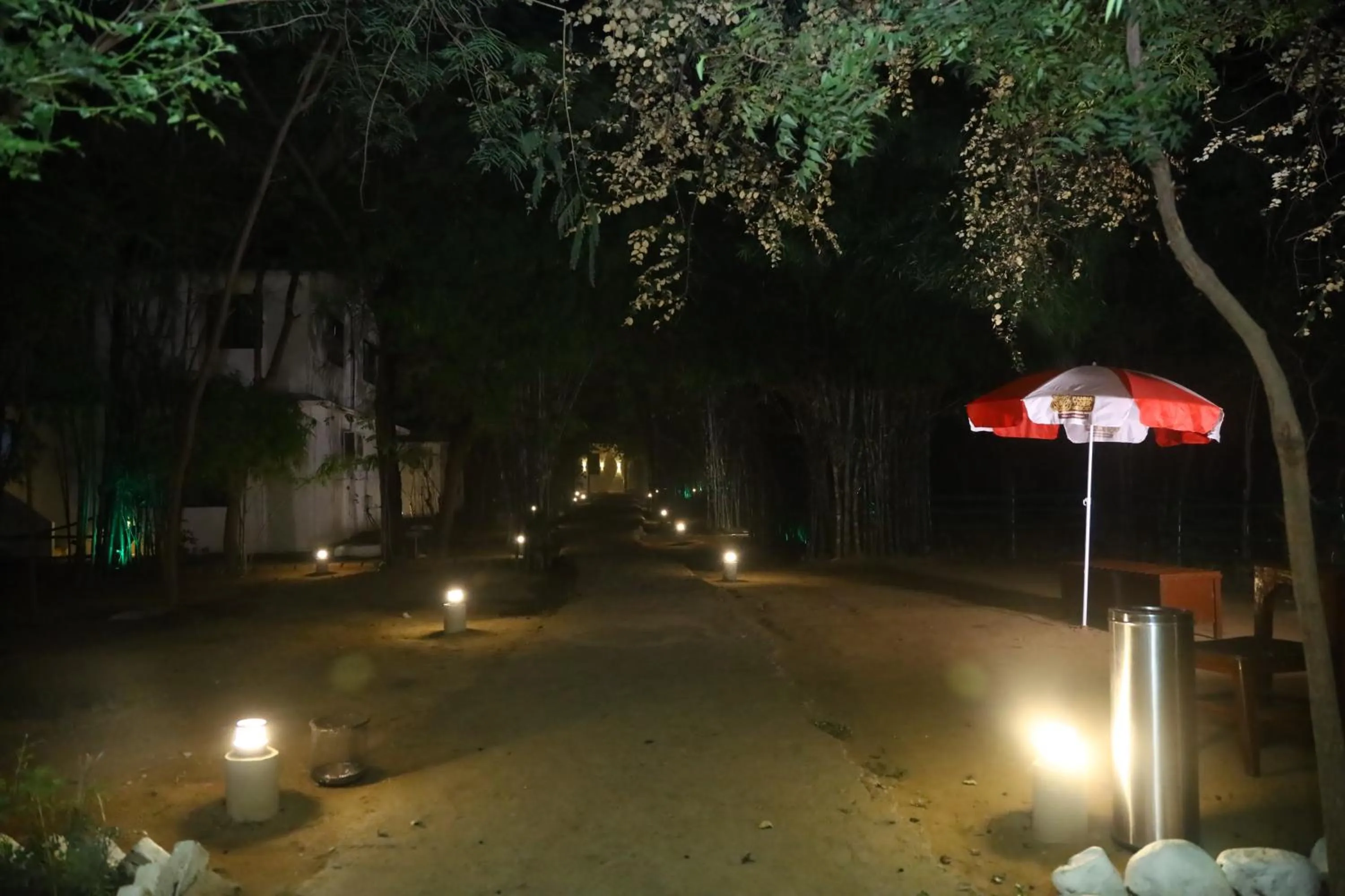 Garden view in Panna Tiger Resort- Riverside Property