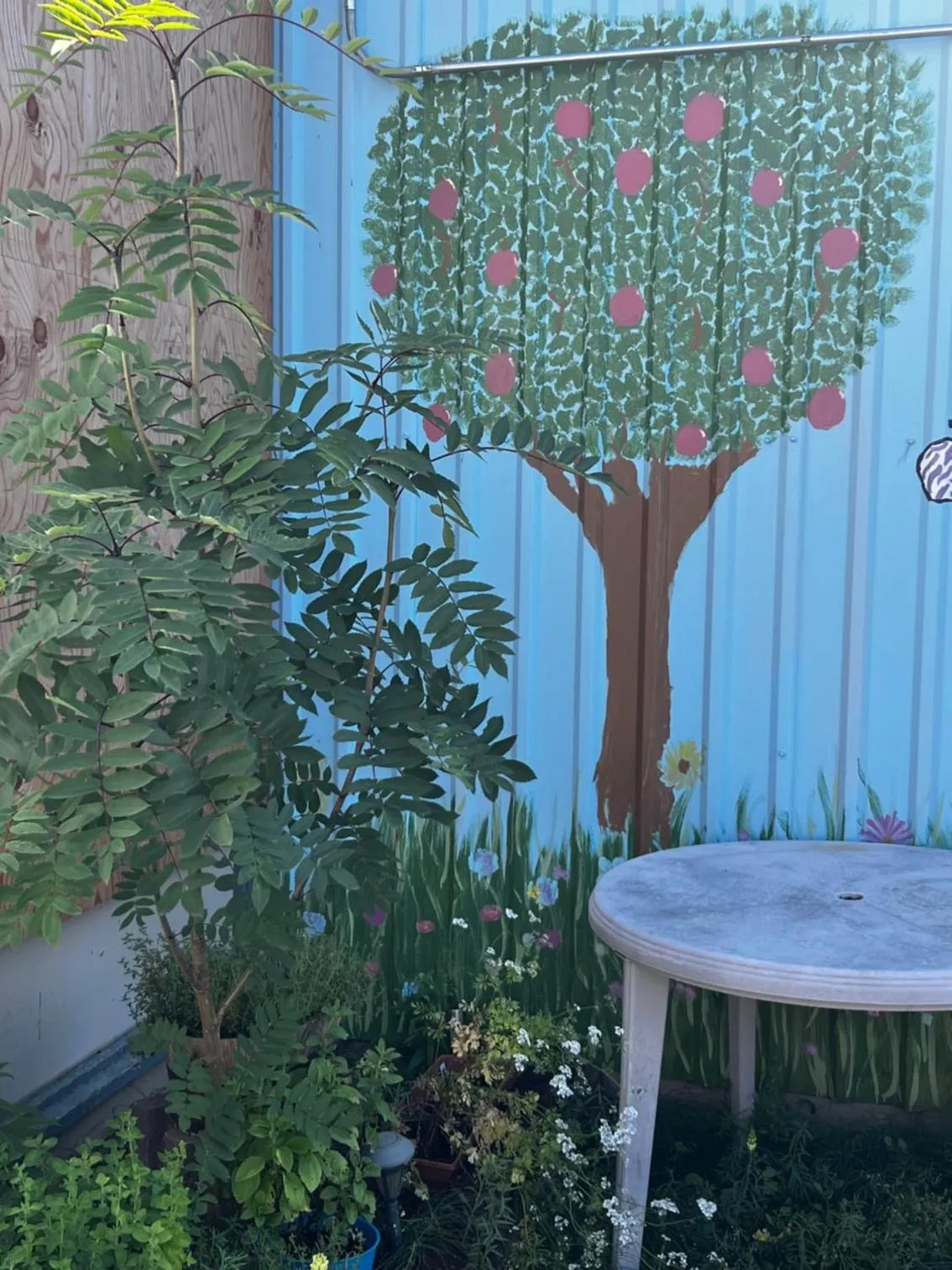 Garden in The Kenai Inn