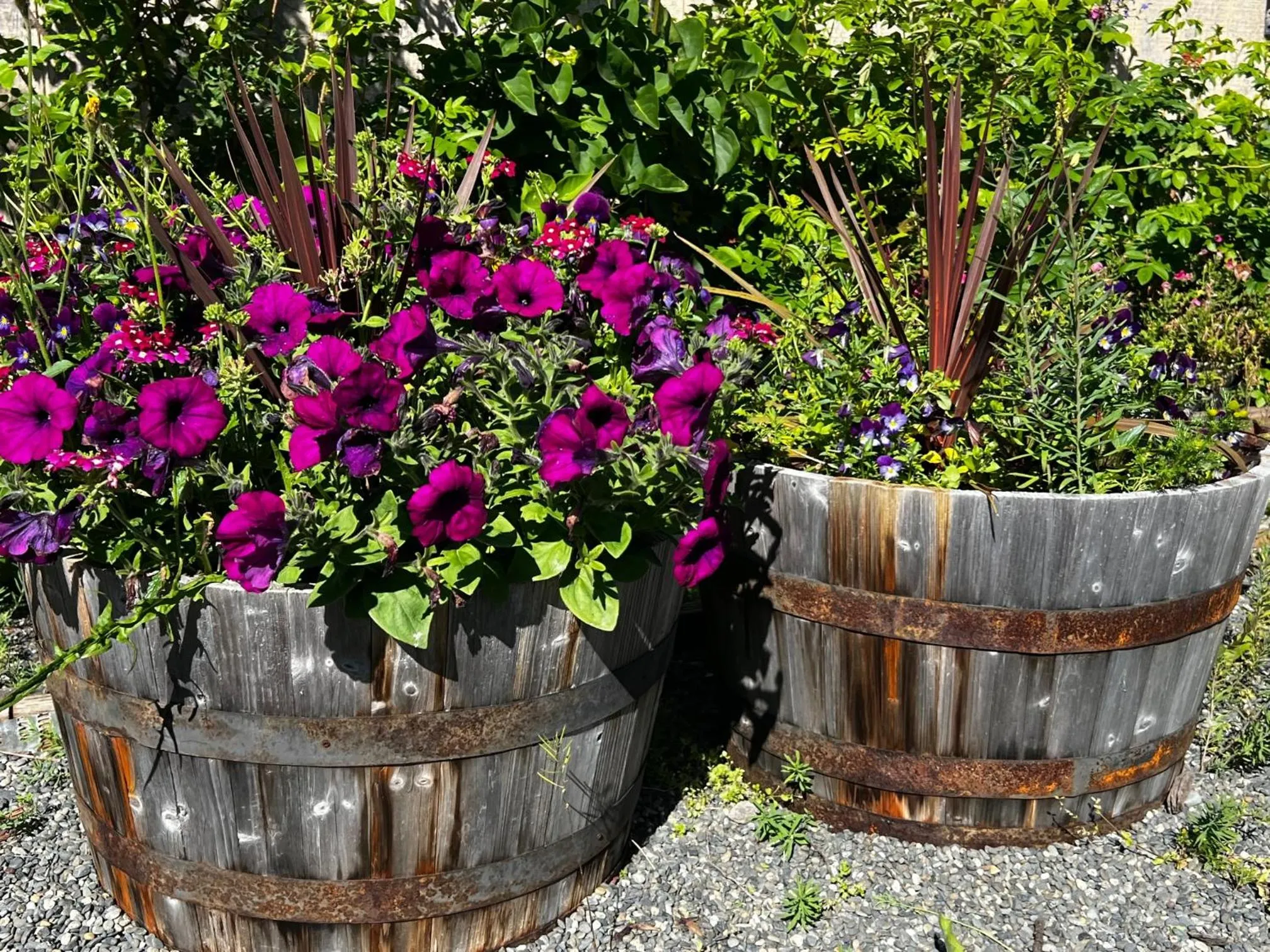 Garden in The Kenai Inn