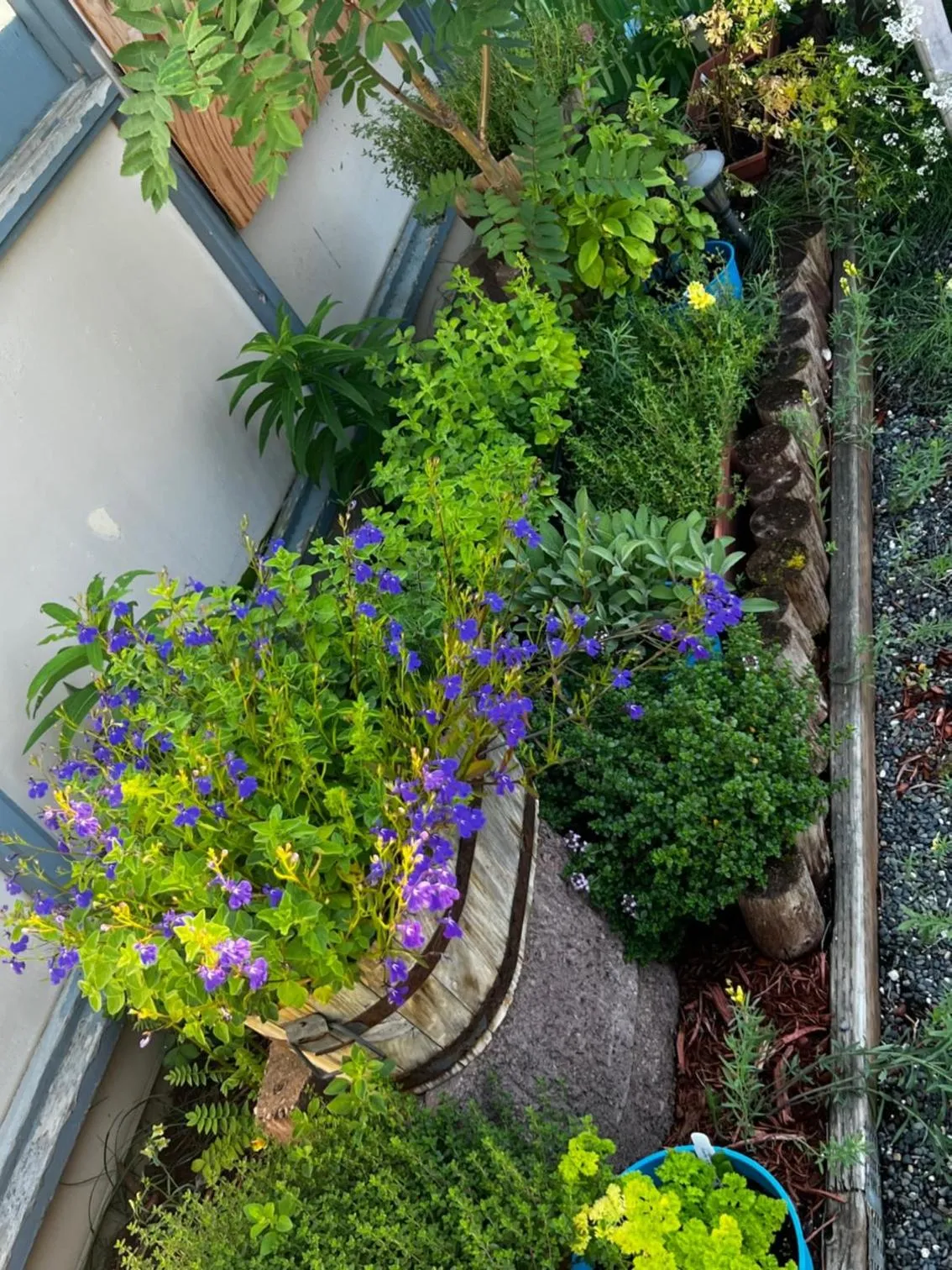Garden in The Kenai Inn