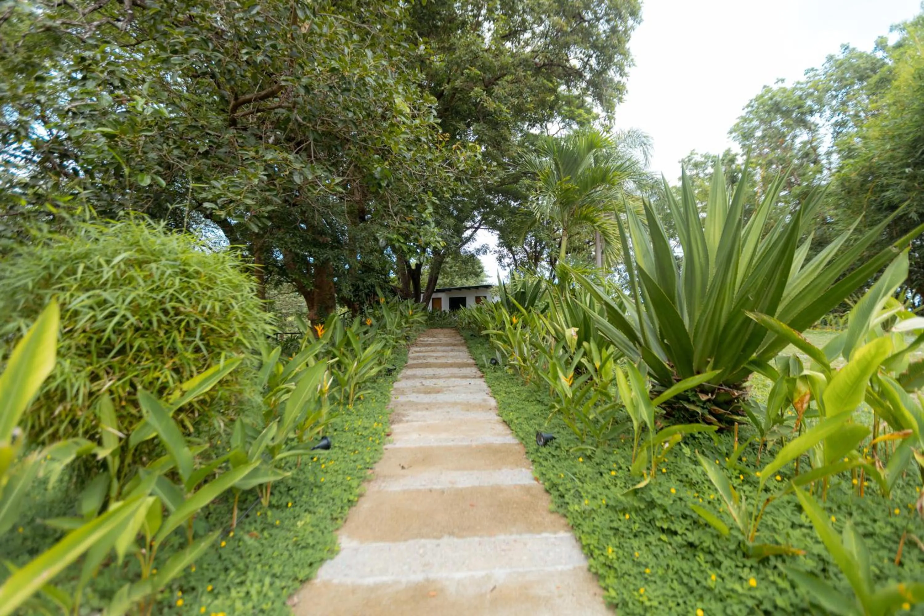 Garden in Bellagio Hills Hotel and Restaurant