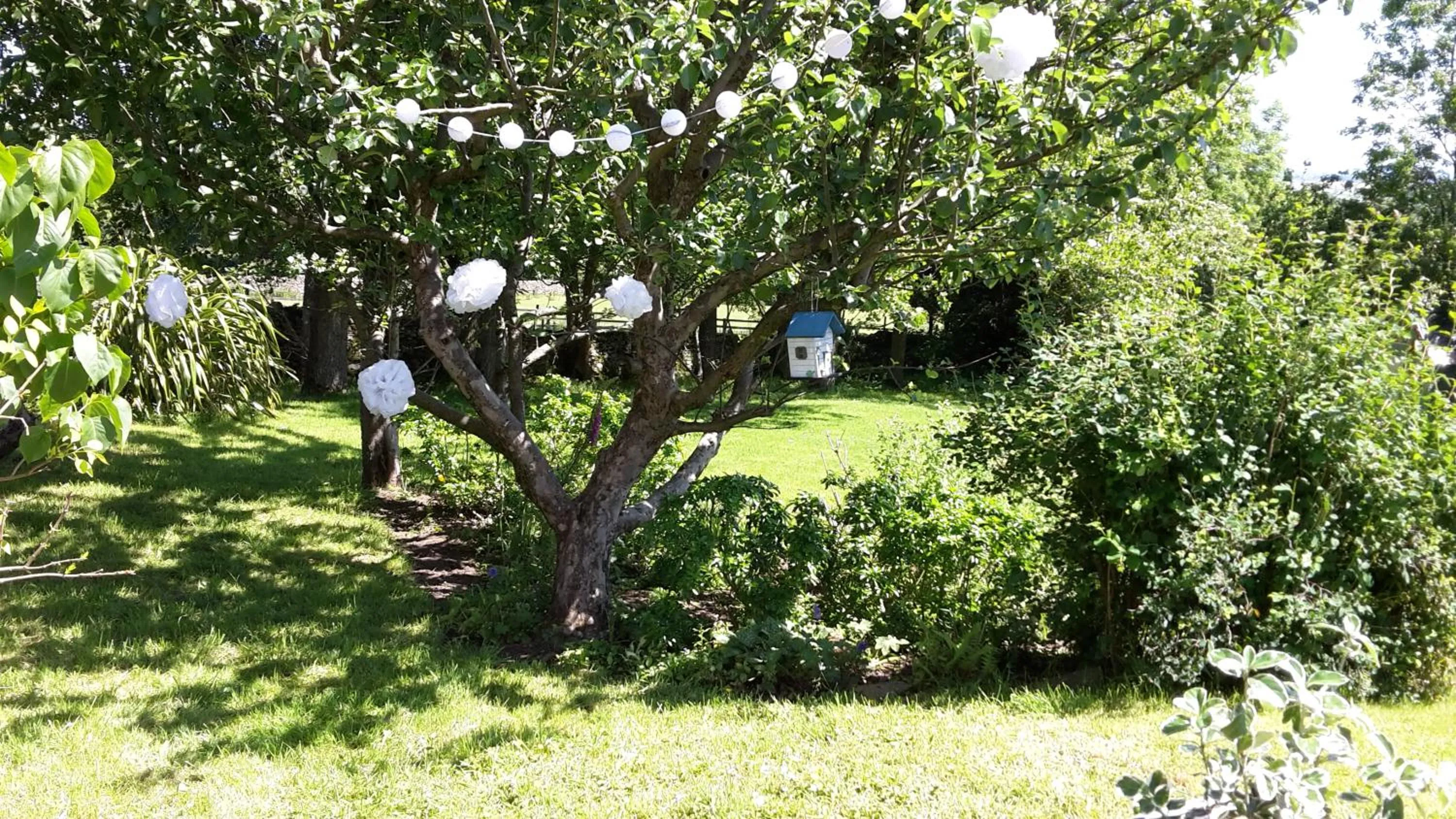 Low Gingerfield Farm B&B