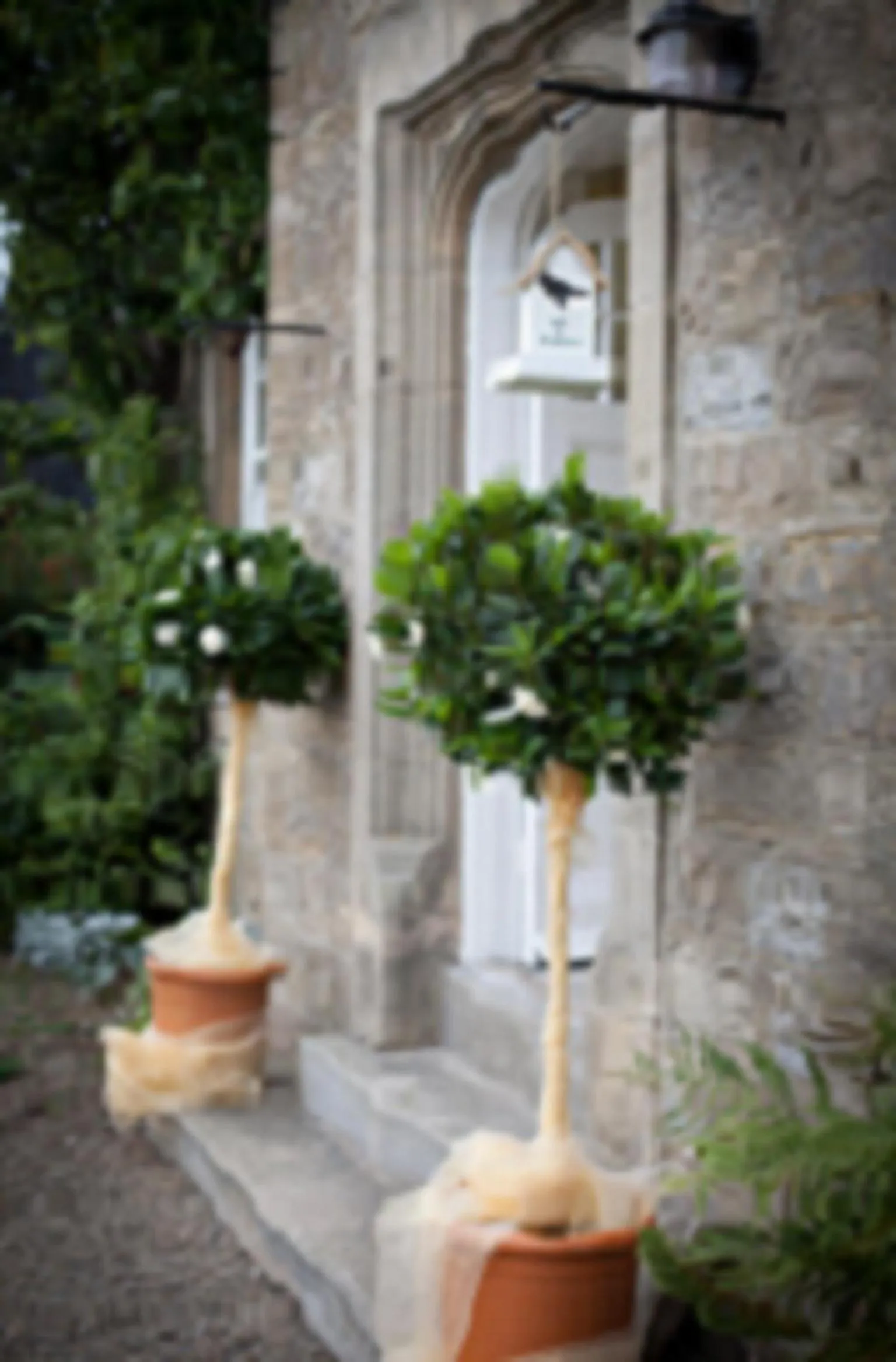 Low Gingerfield Farm B&B