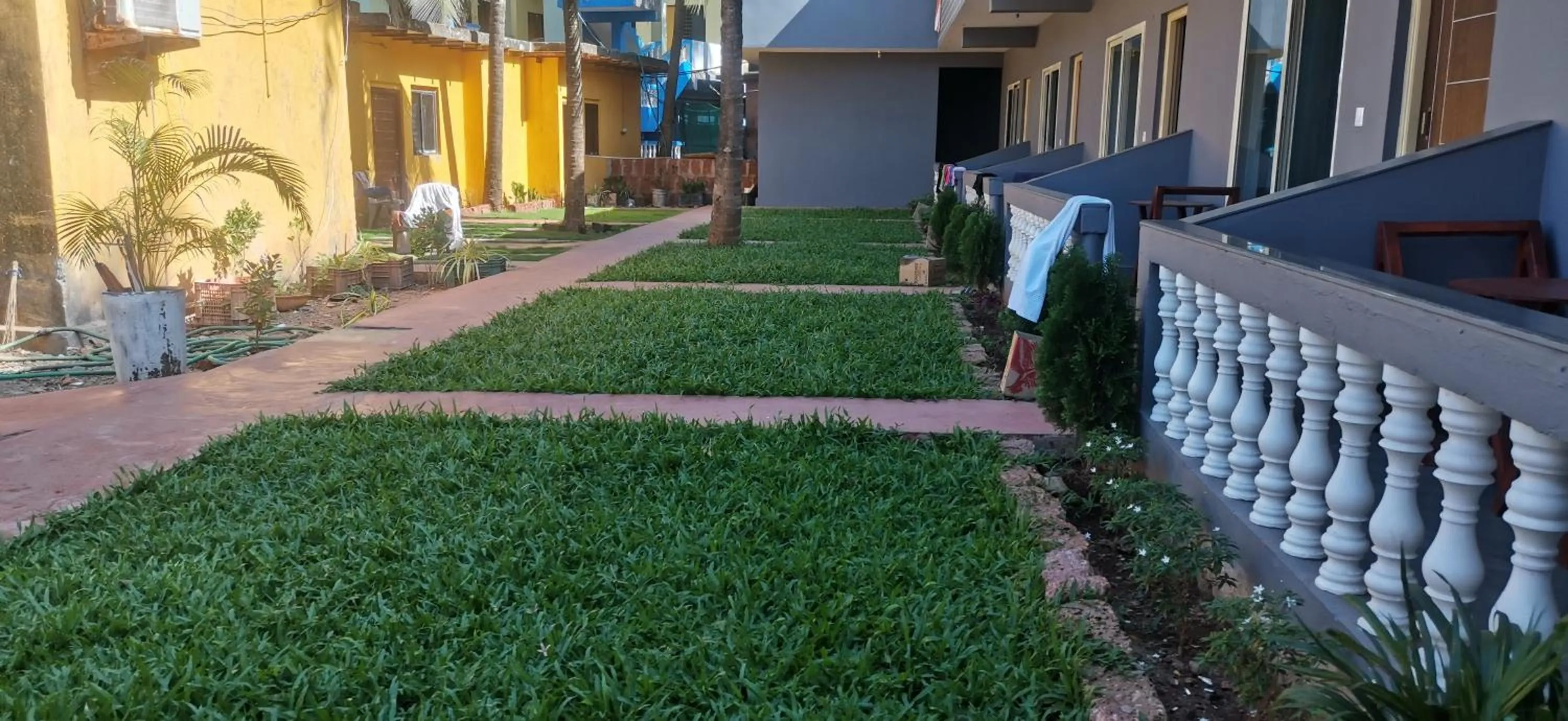 Garden view in COCKS TOWN