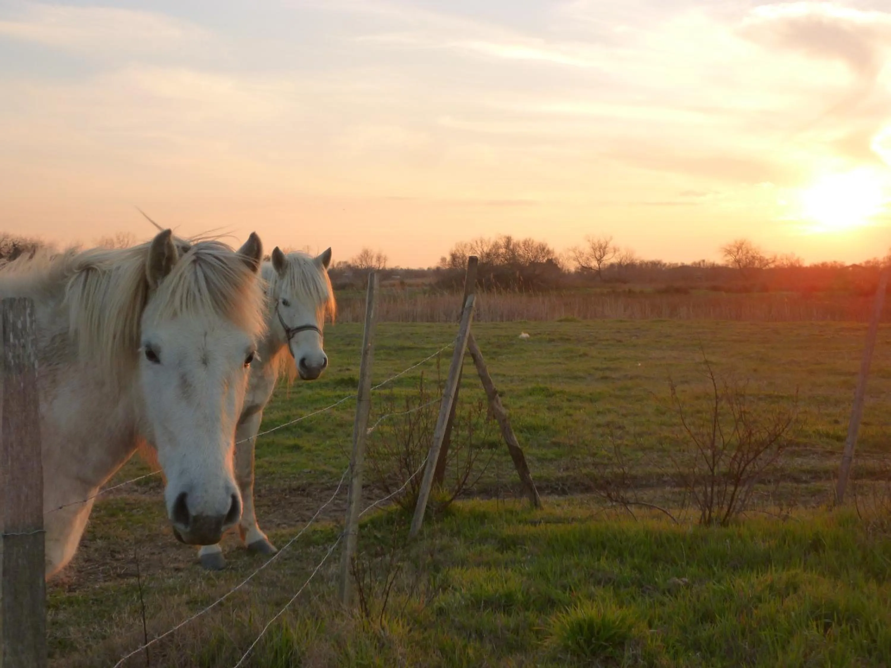 Nearby landmark in Logis Le Nid du Pont de Gau