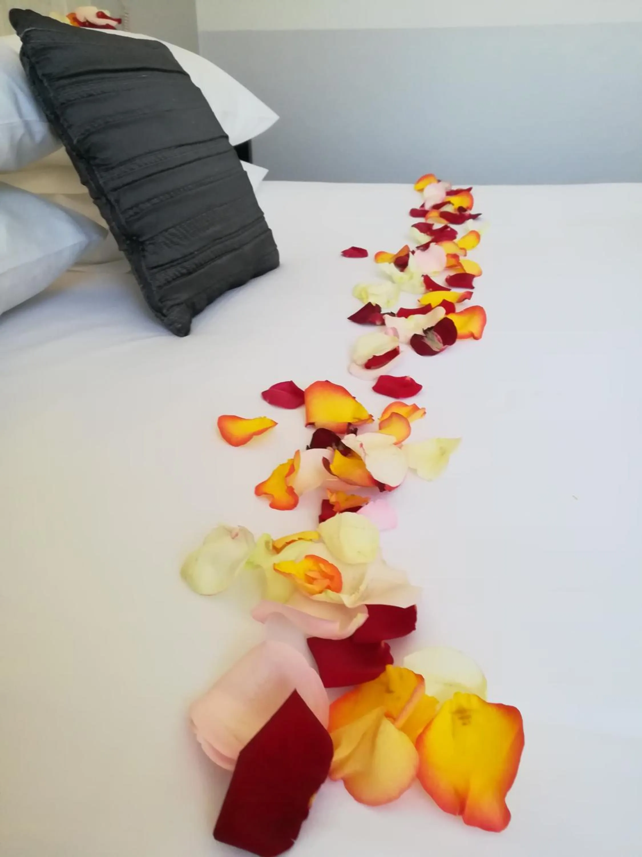 Bed in Logis Le Nid du Pont de Gau