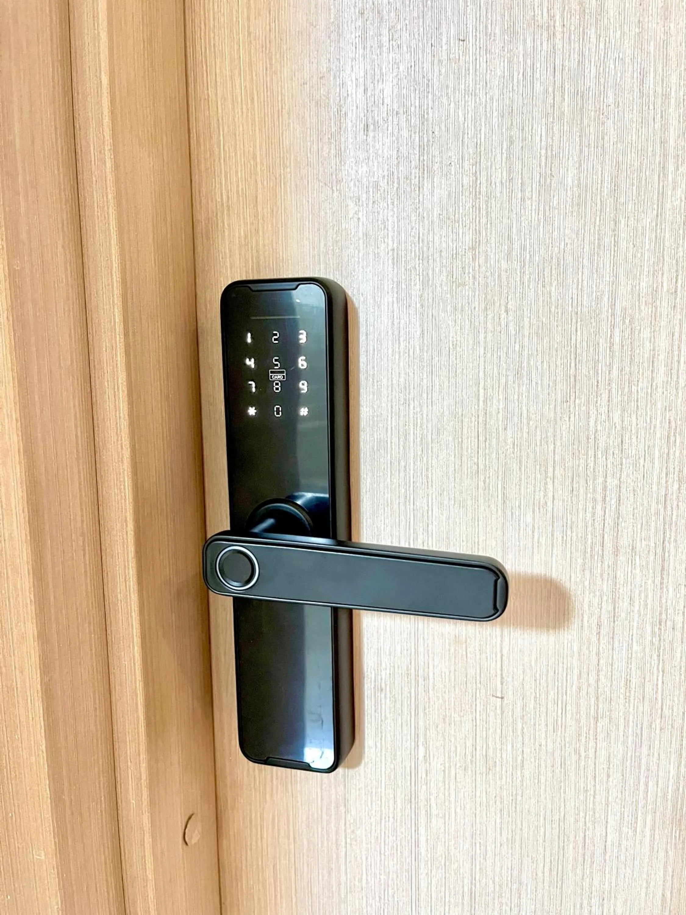 by Calamari Homes - Palmetto Beach 2504 Bocagrande