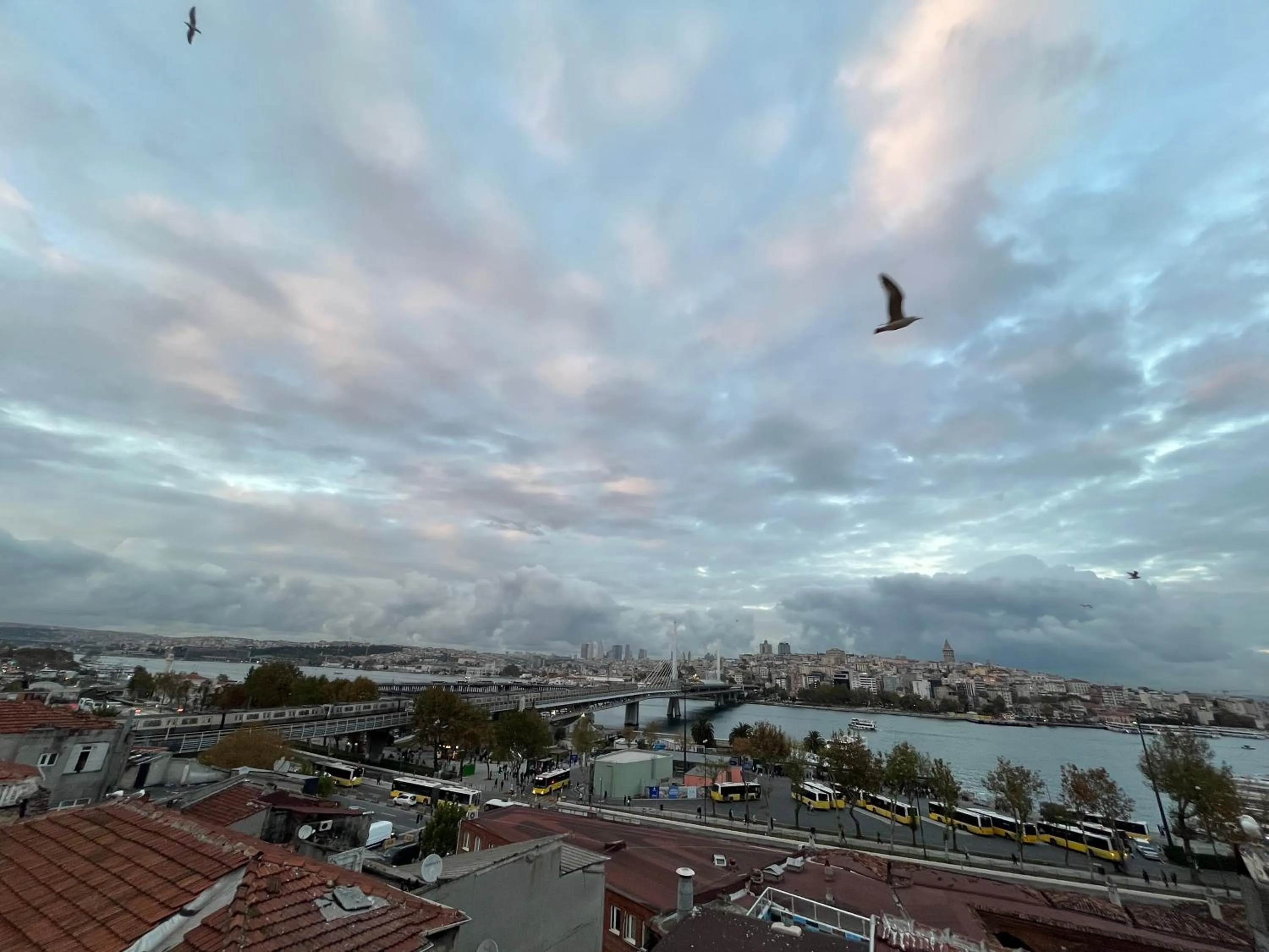 Day in Lale Sultan Hotel