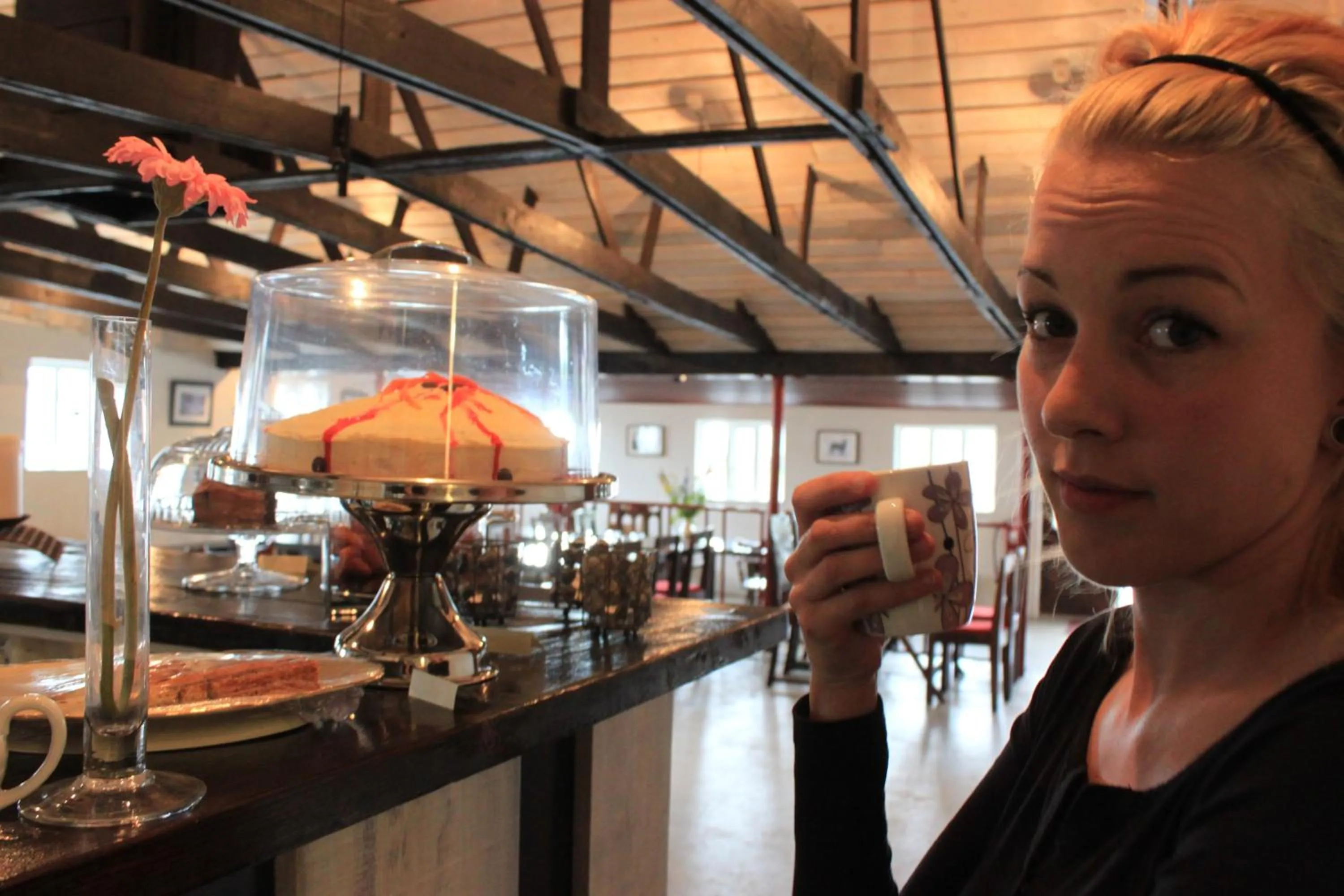 Guests in South Iceland Guesthouse