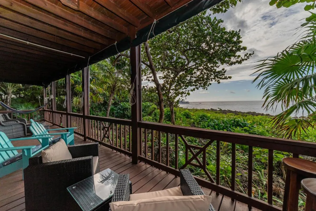 Natural landscape in Cocolobo Resort