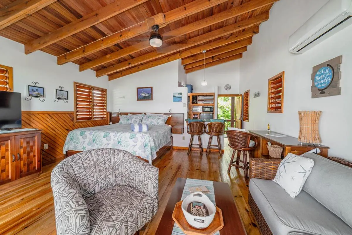 Photo of the whole room in Cocolobo Resort