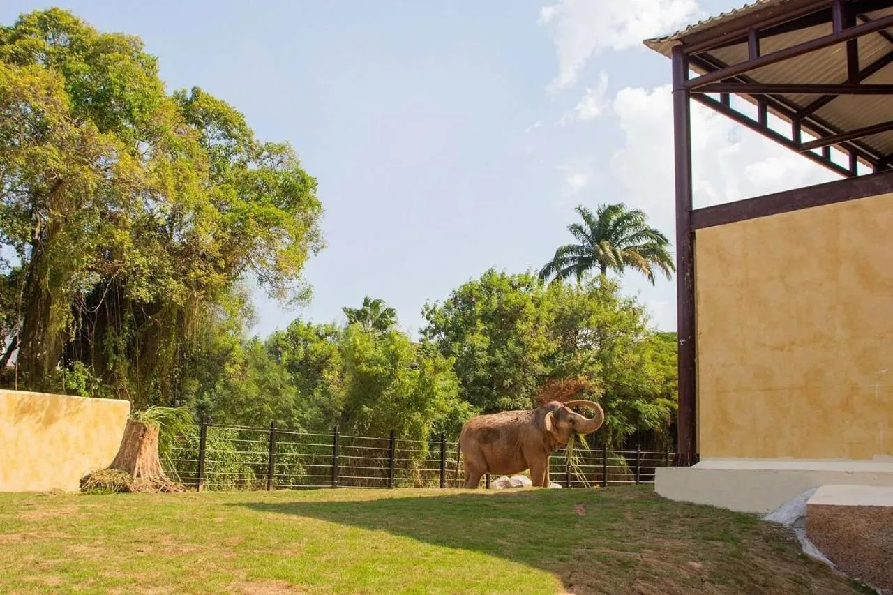 Off site in Must Leblon - pacote: 4 Hóspedes, Praia + 1 Ticket