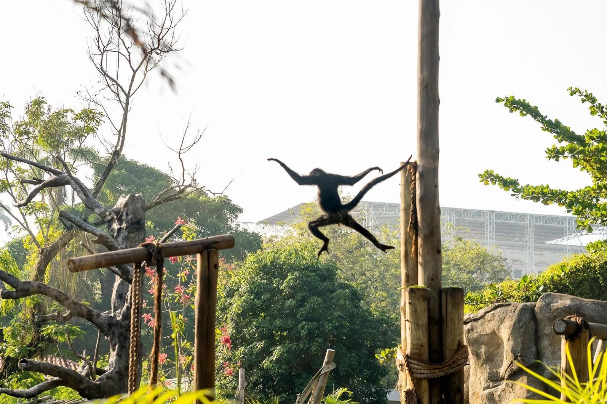 Entertainment in Must Leblon - pacote: 4 Hóspedes, Praia + 1 Ticket