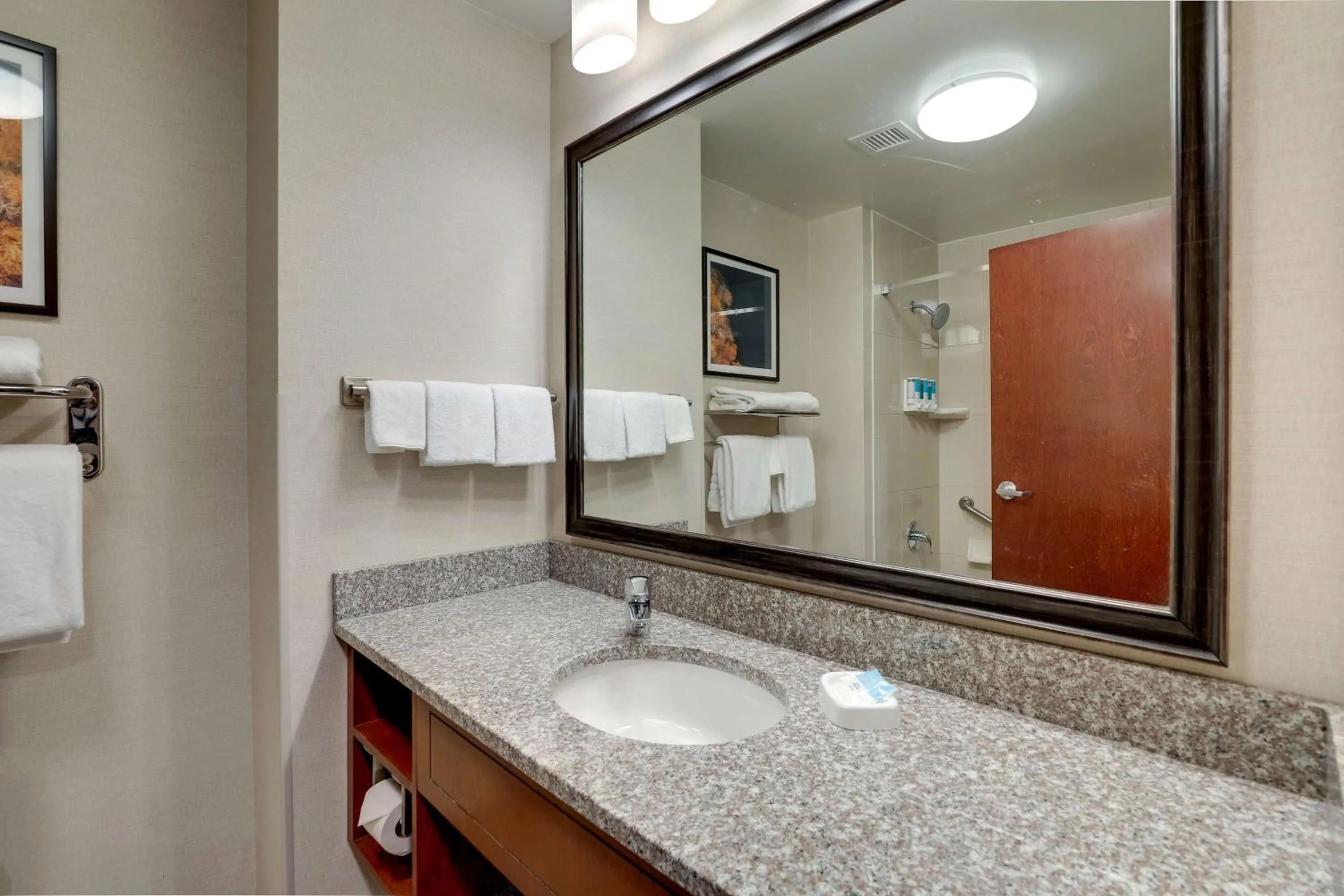 Bathroom in Drury Plaza Hotel Mt Vernon