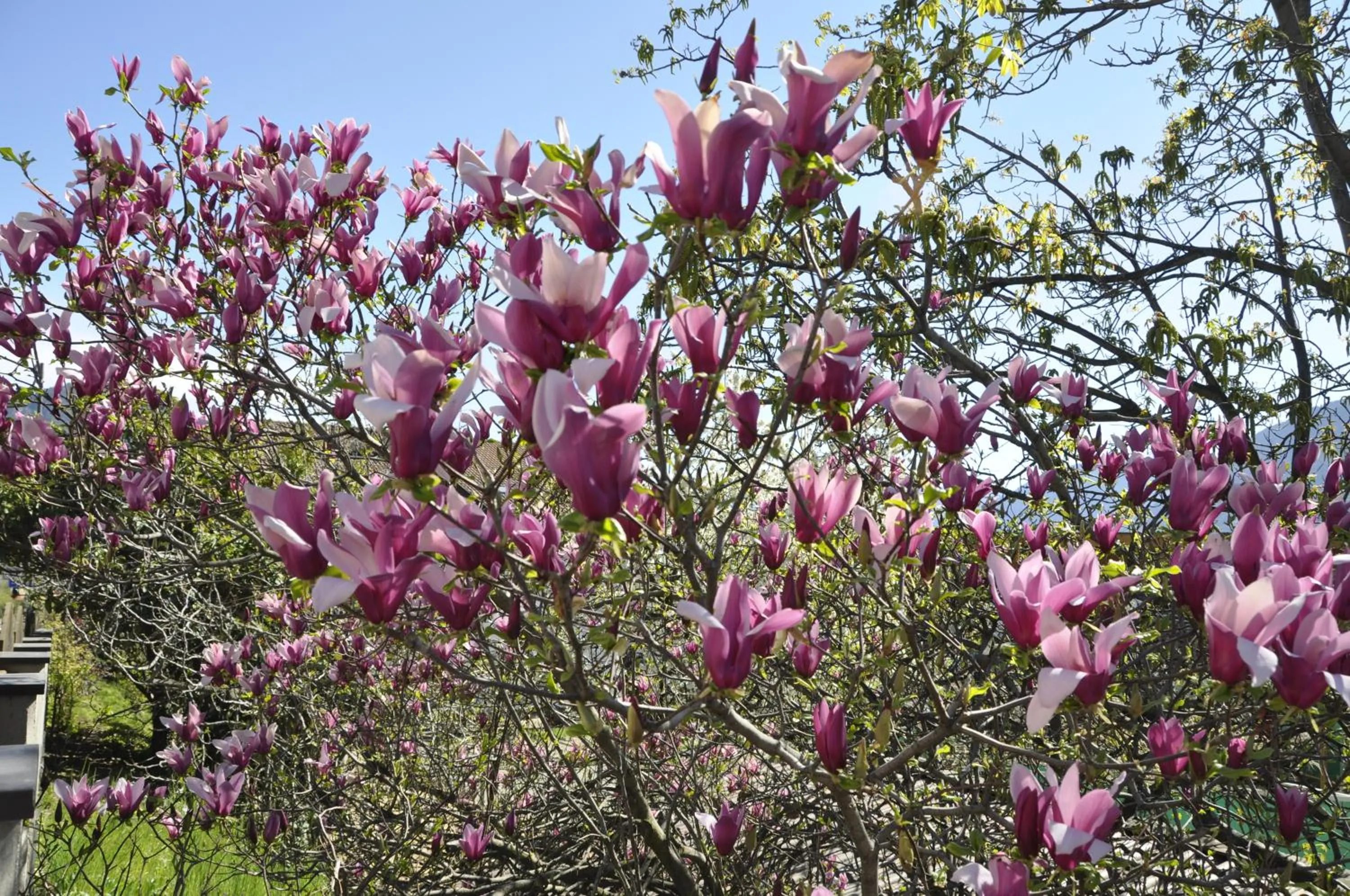 Other in Garni Kofler