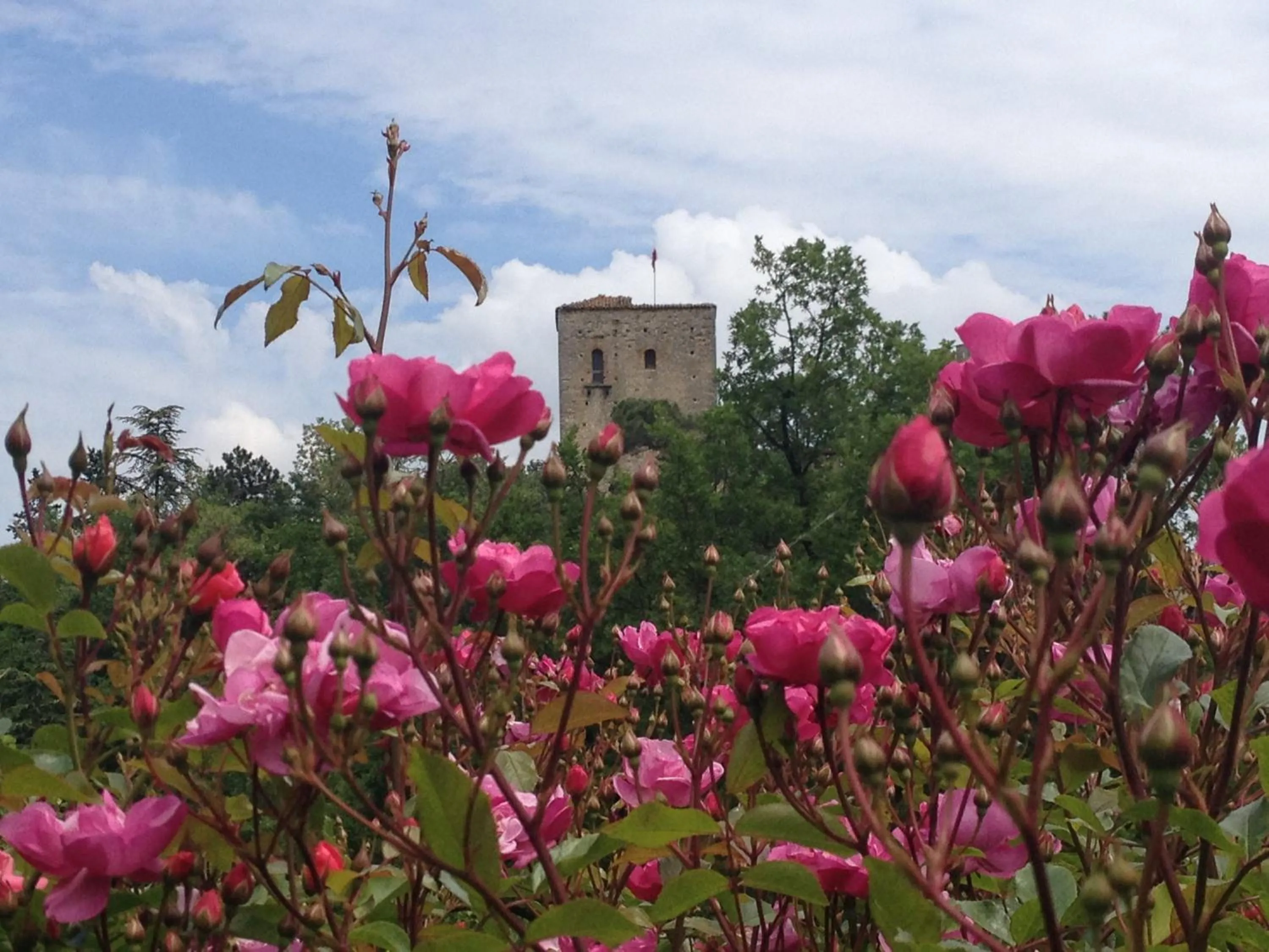 Garden in Torre del Barbagianni - Castello di Gropparello