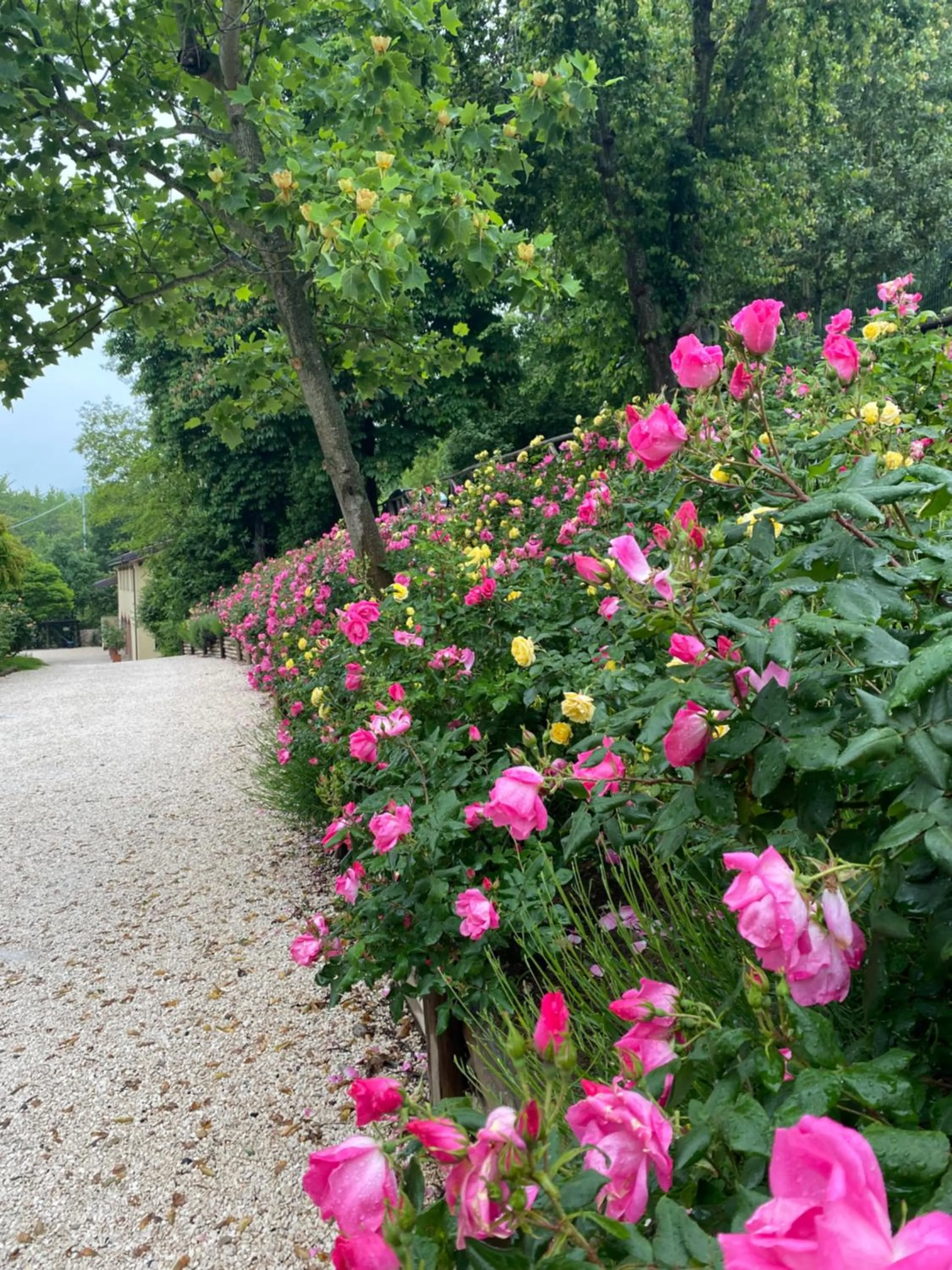 Garden in Torre del Barbagianni - Castello di Gropparello
