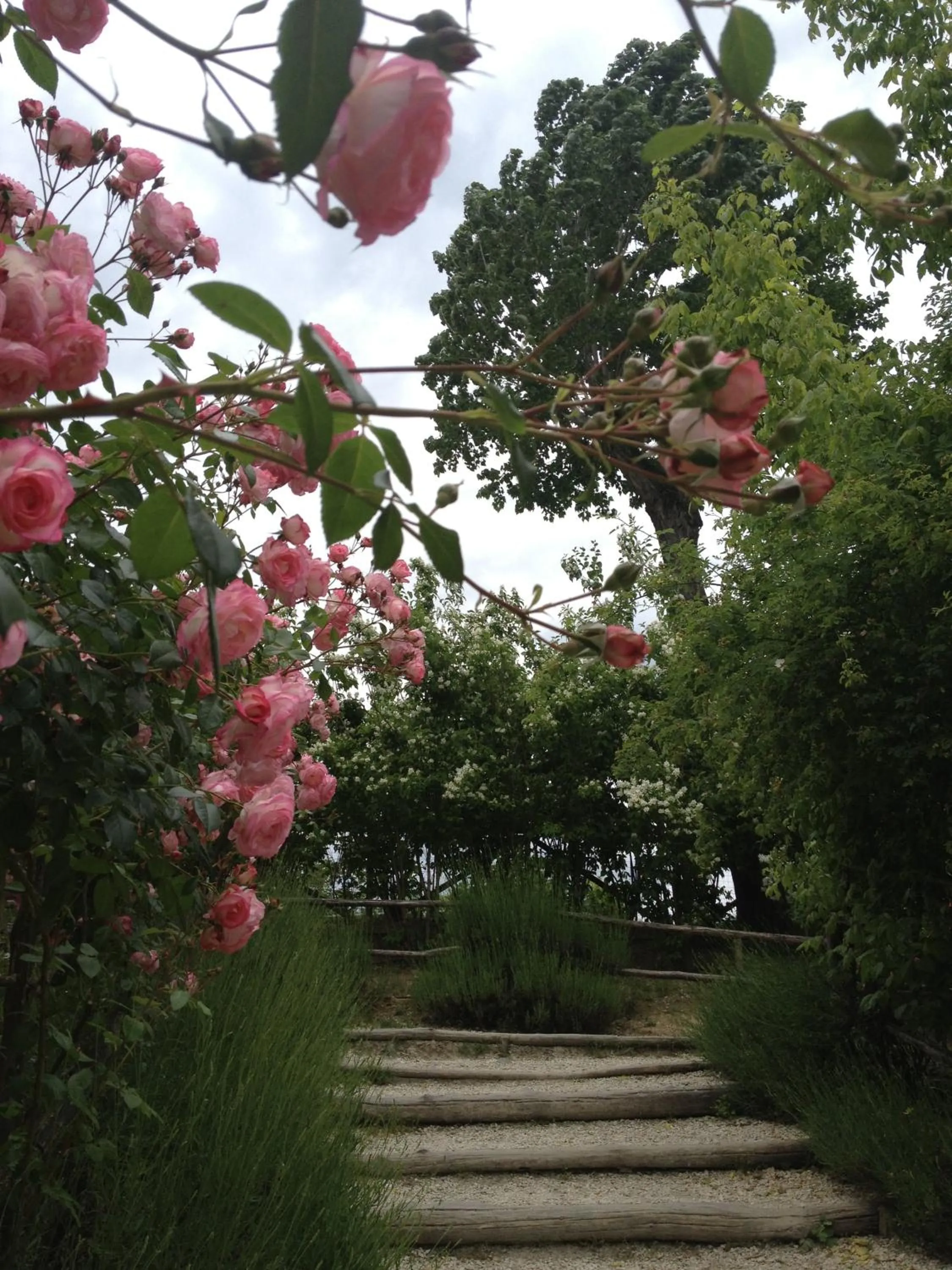 Spring in Torre del Barbagianni - Castello di Gropparello