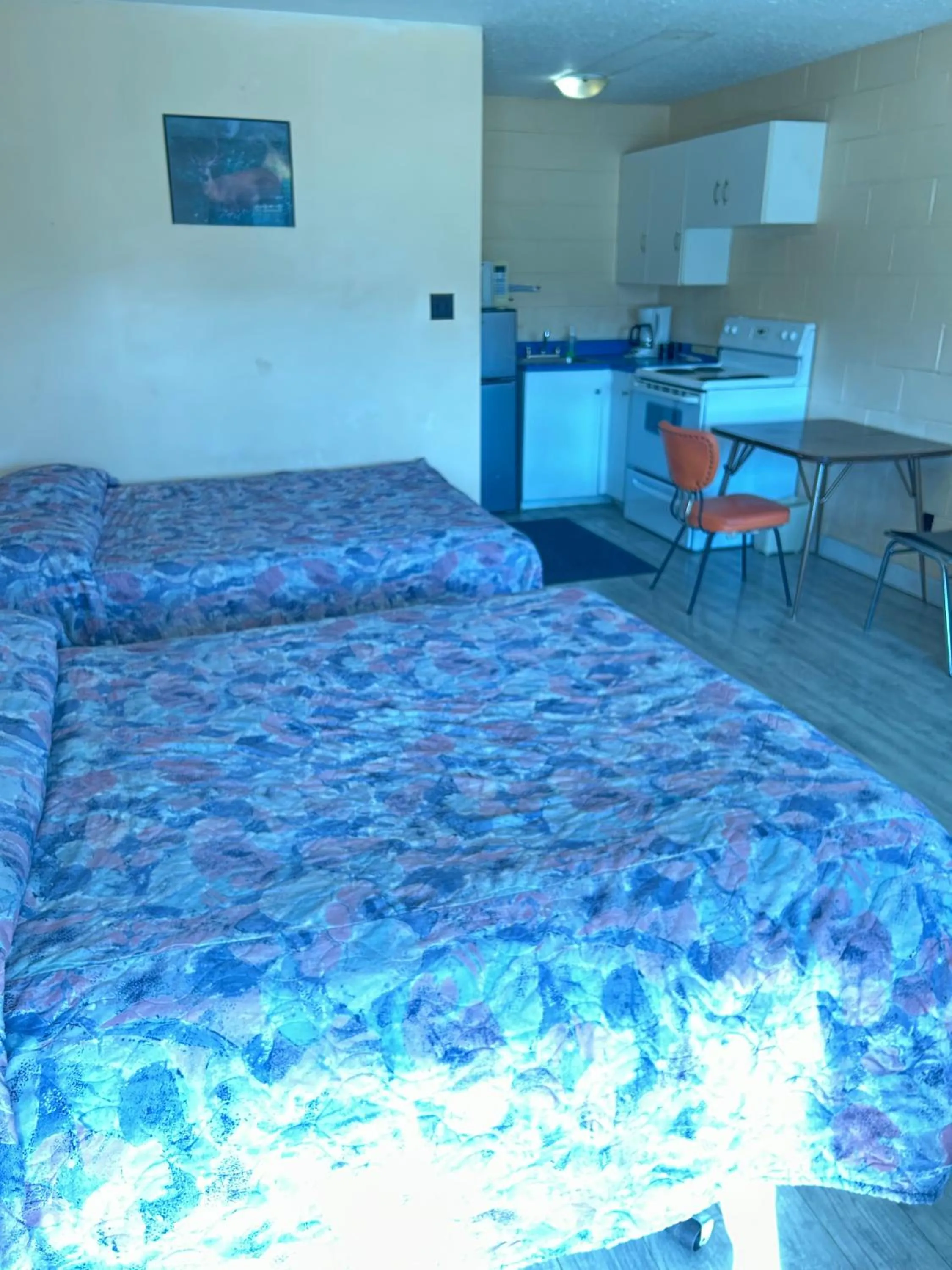 Kitchen or kitchenette in Road Runner Motel Merritt BC