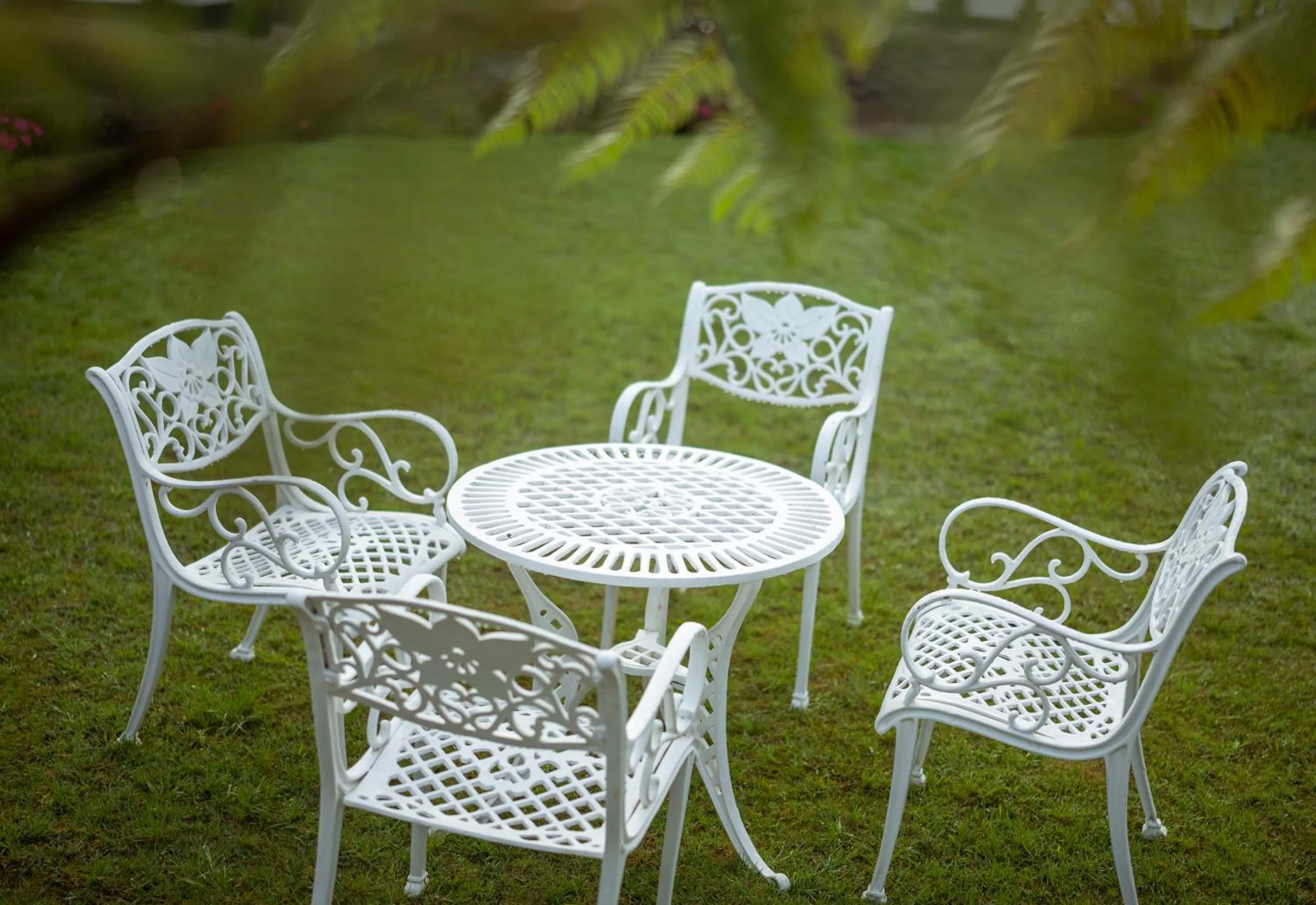 Garden in Aaradhya Nuwara Eliya