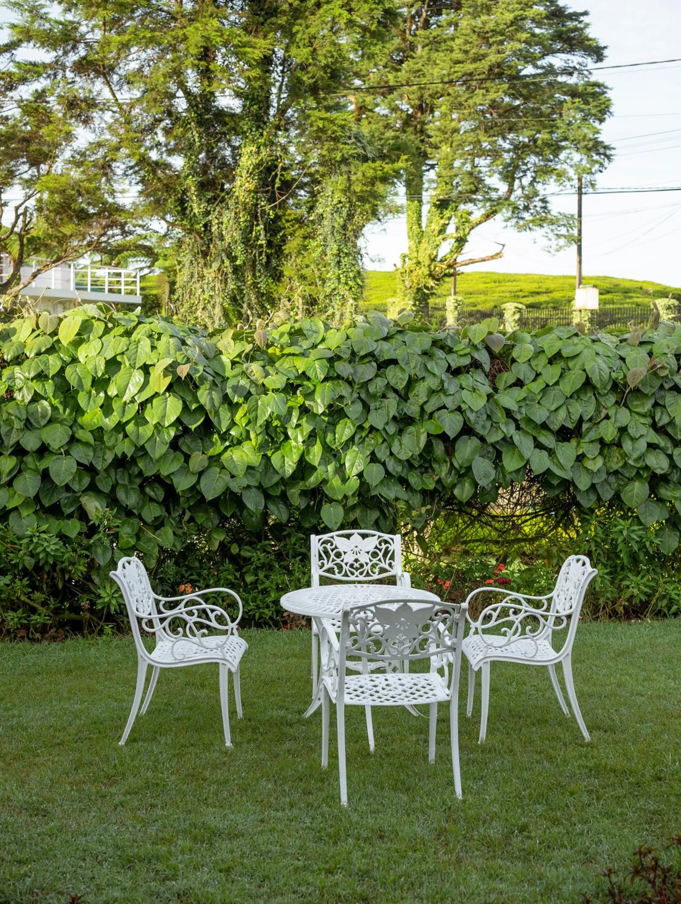 Property building in Aaradhya Nuwara Eliya