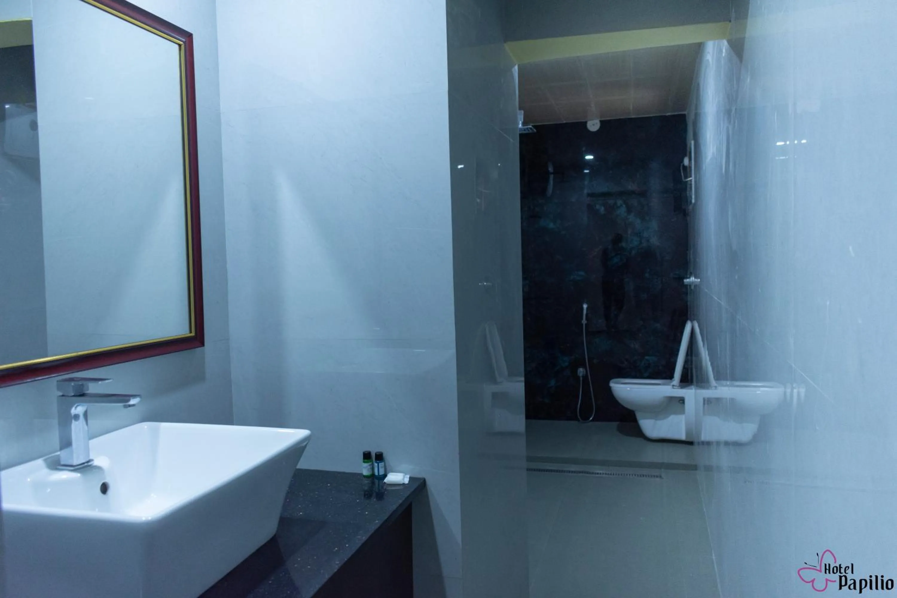 Toilet in HOTEL PAPILIO