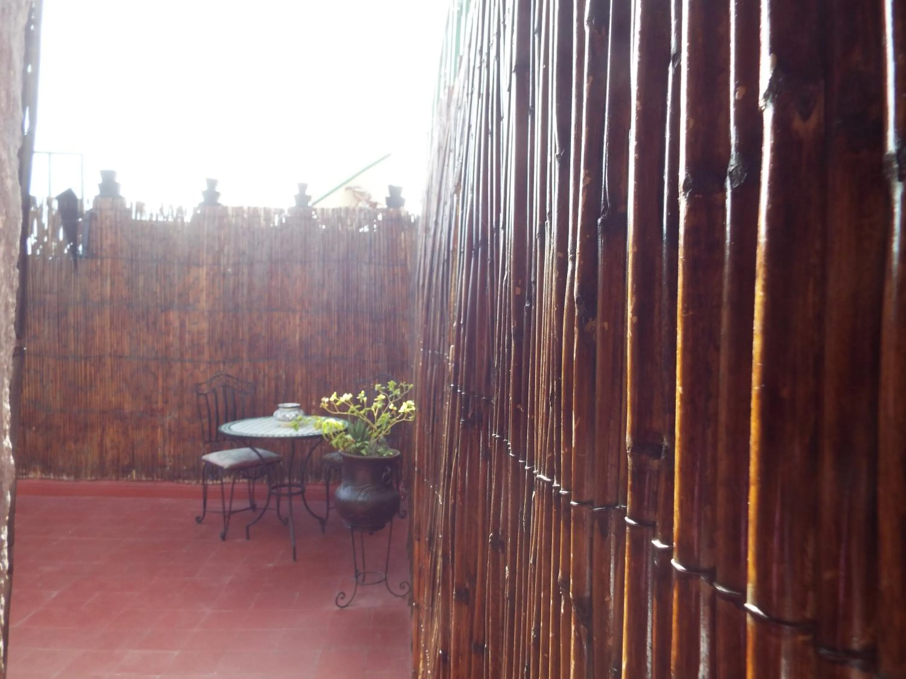 Patio in Maison Adam