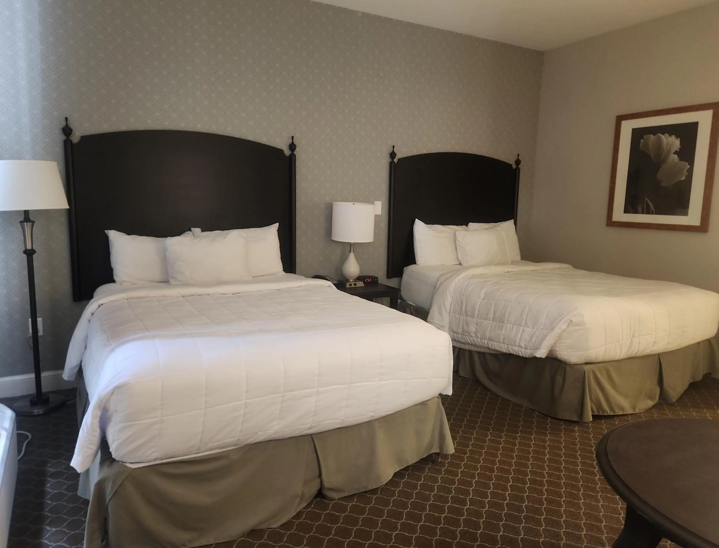 Bedroom, Bed in Natural Bridge Hotel, Trademark Collection by Wyndham