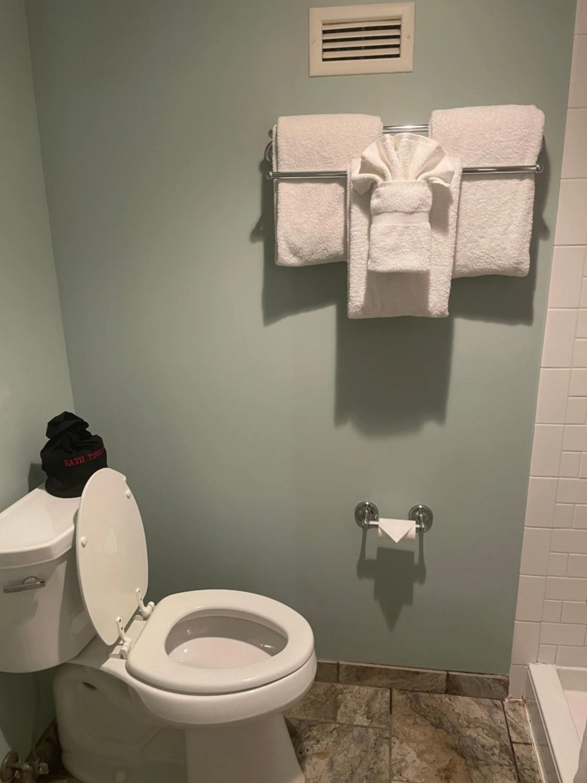 Bathroom in Natural Bridge Hotel, Trademark Collection by Wyndham