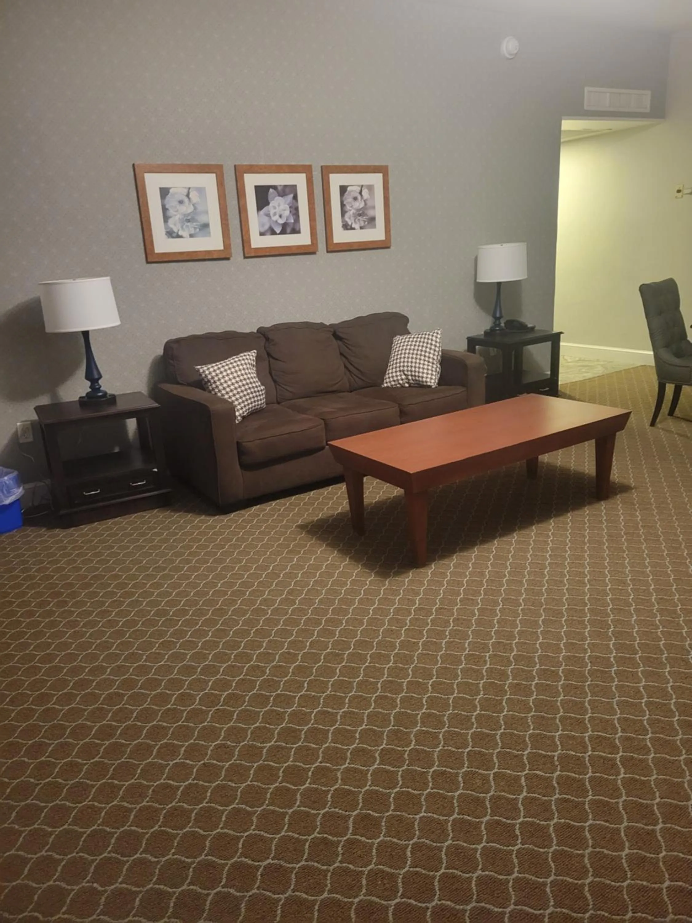 Living room in Natural Bridge Hotel, Trademark Collection by Wyndham