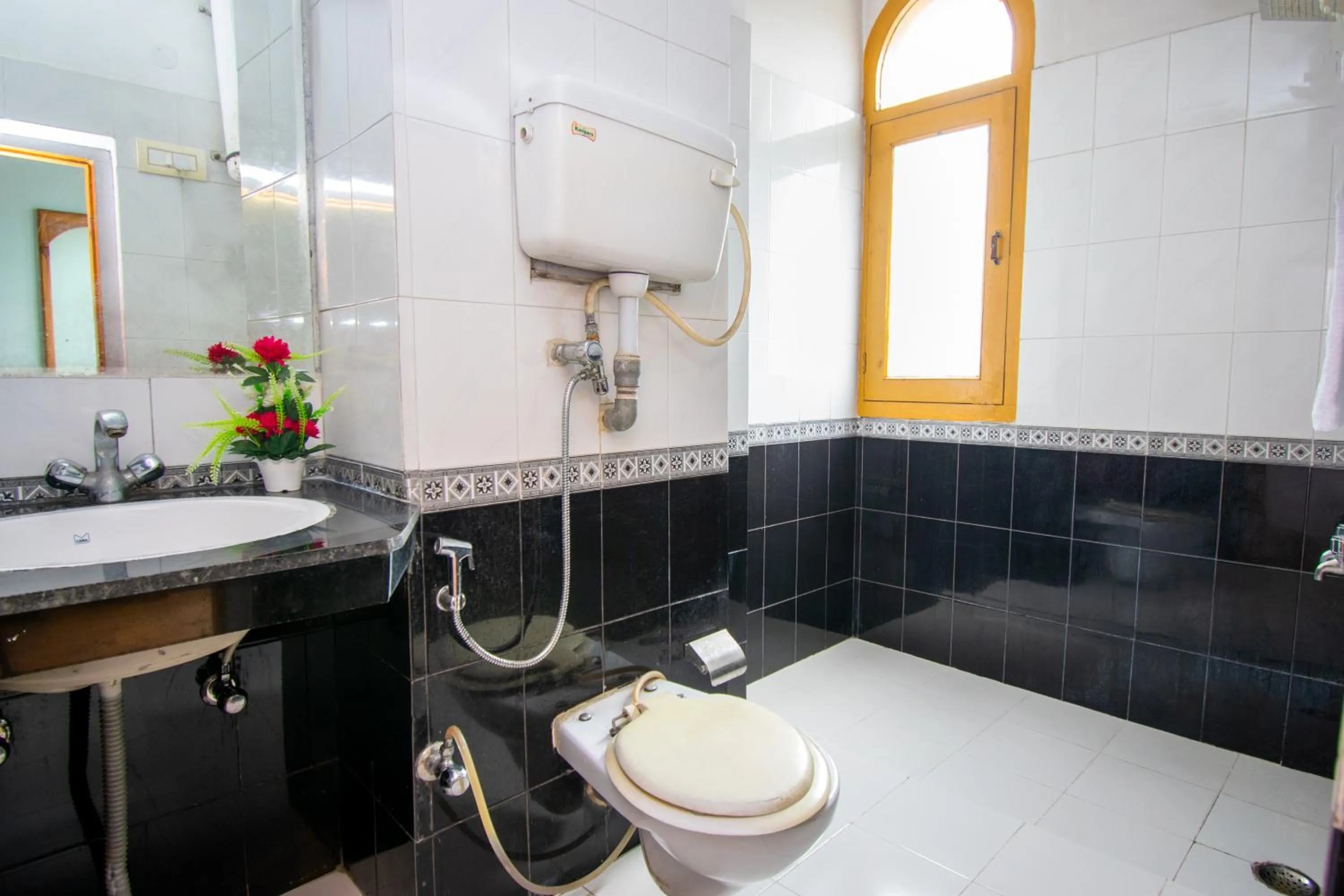 Toilet in Octave Himalayan Hamlet