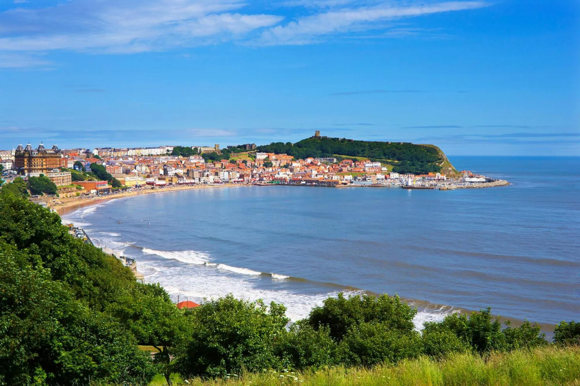 Natural landscape in Ashburton House - B&B