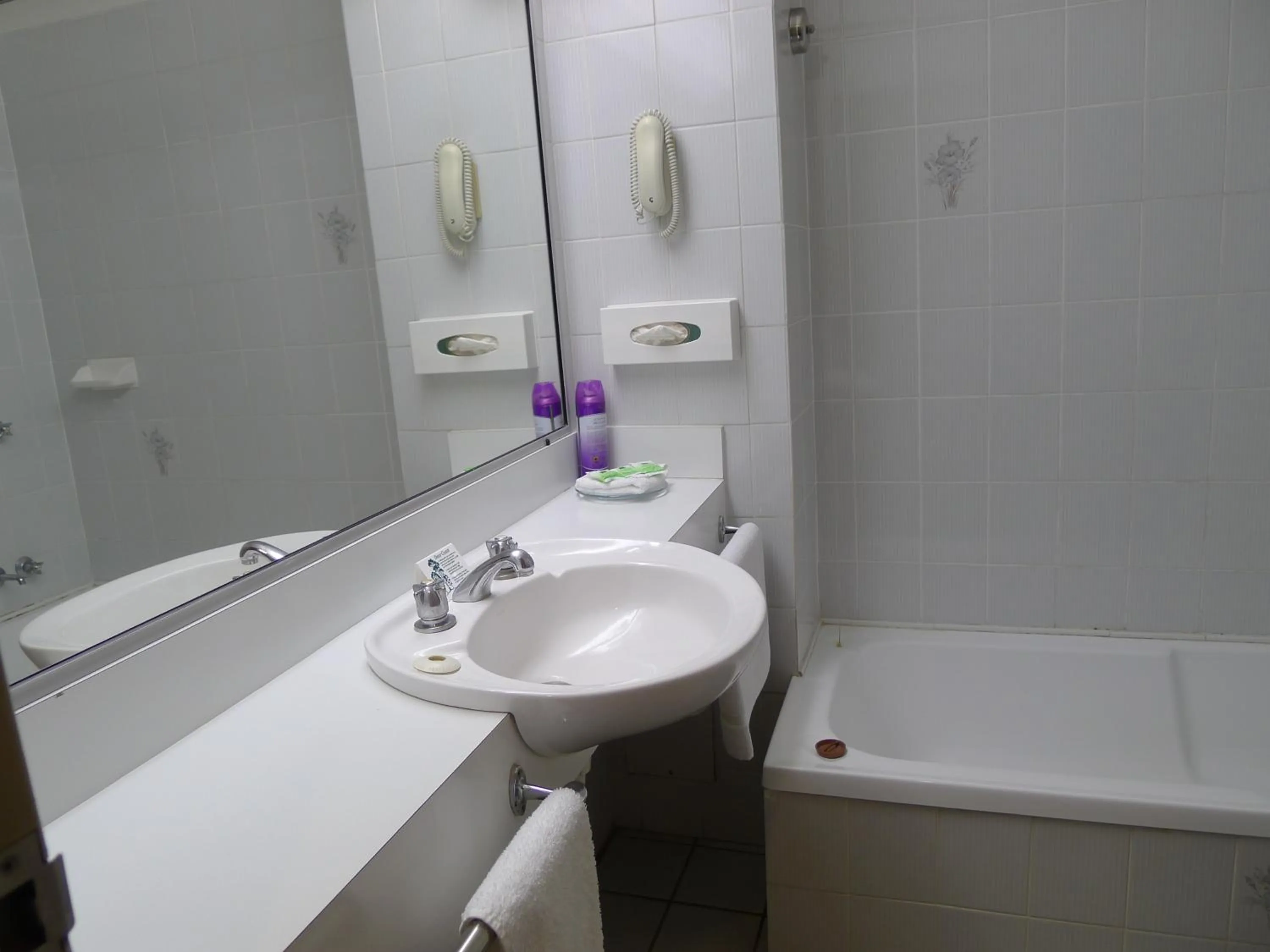 Bathroom in New England Motor Inn