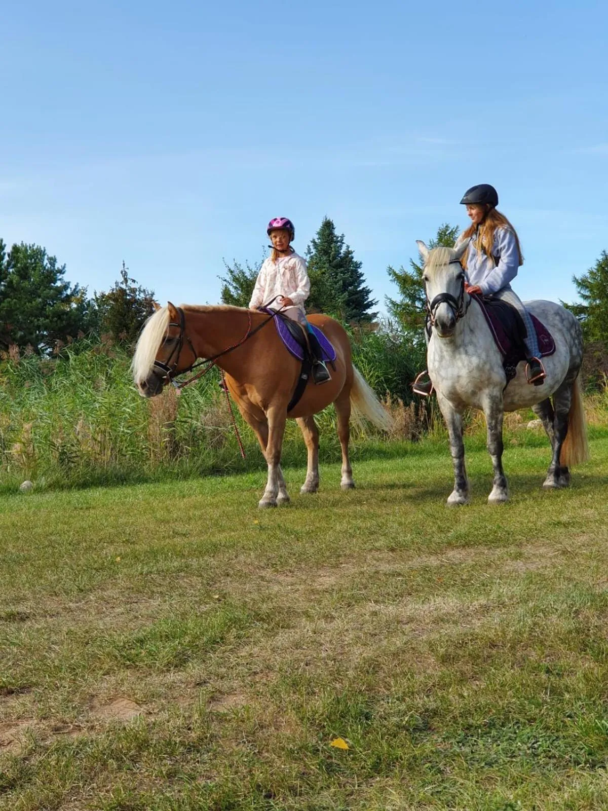 Horse-riding in Kur-& Landhotel Borstel - Treff