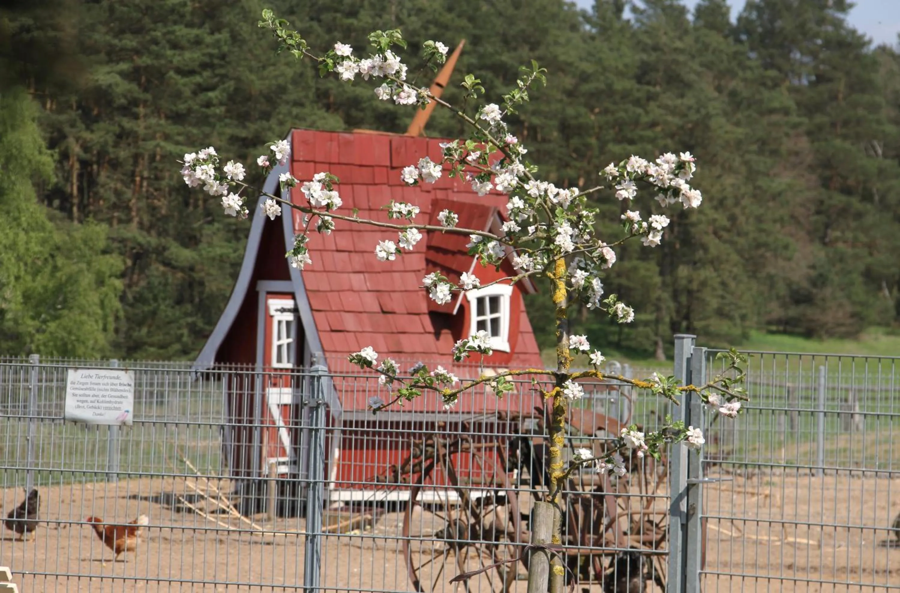 Garden in Kur-& Landhotel Borstel - Treff