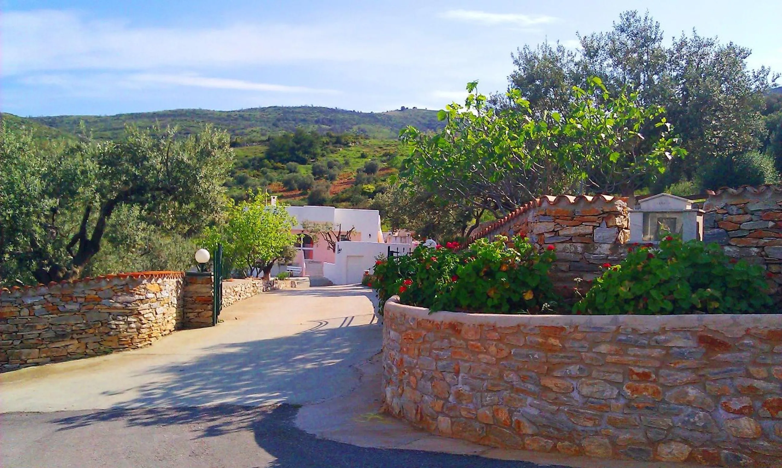Natural landscape in Villa Konaki